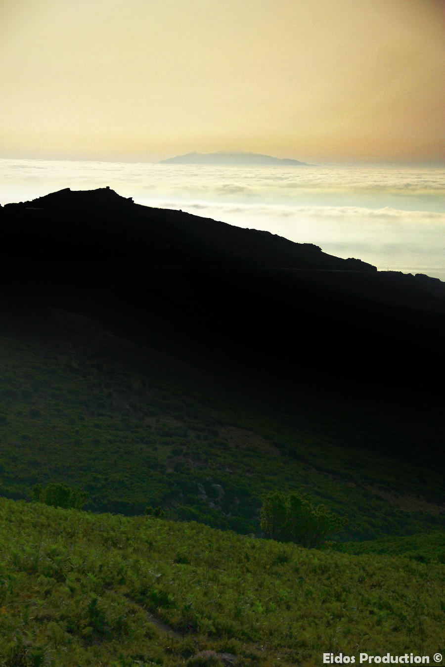 Elba Island in the fog