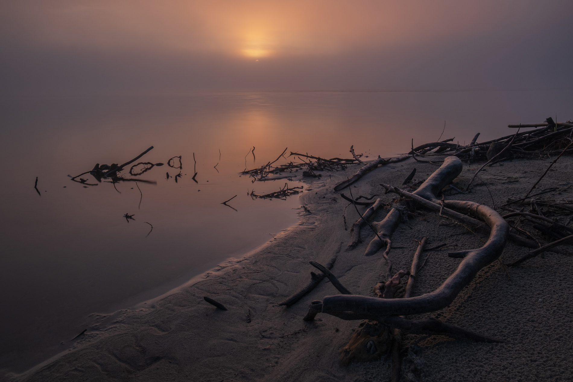 Untitled Photo