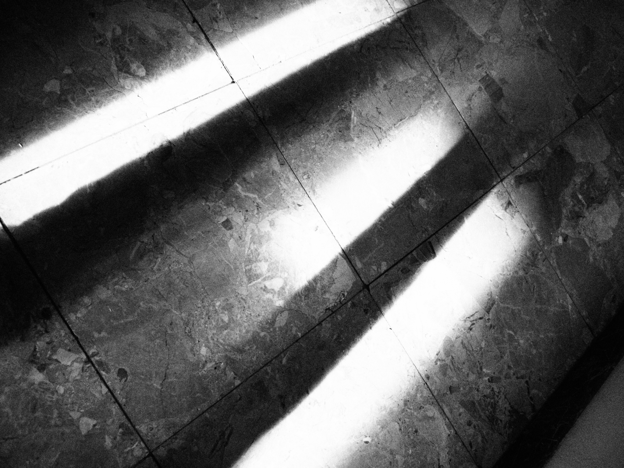 Untitled Photo