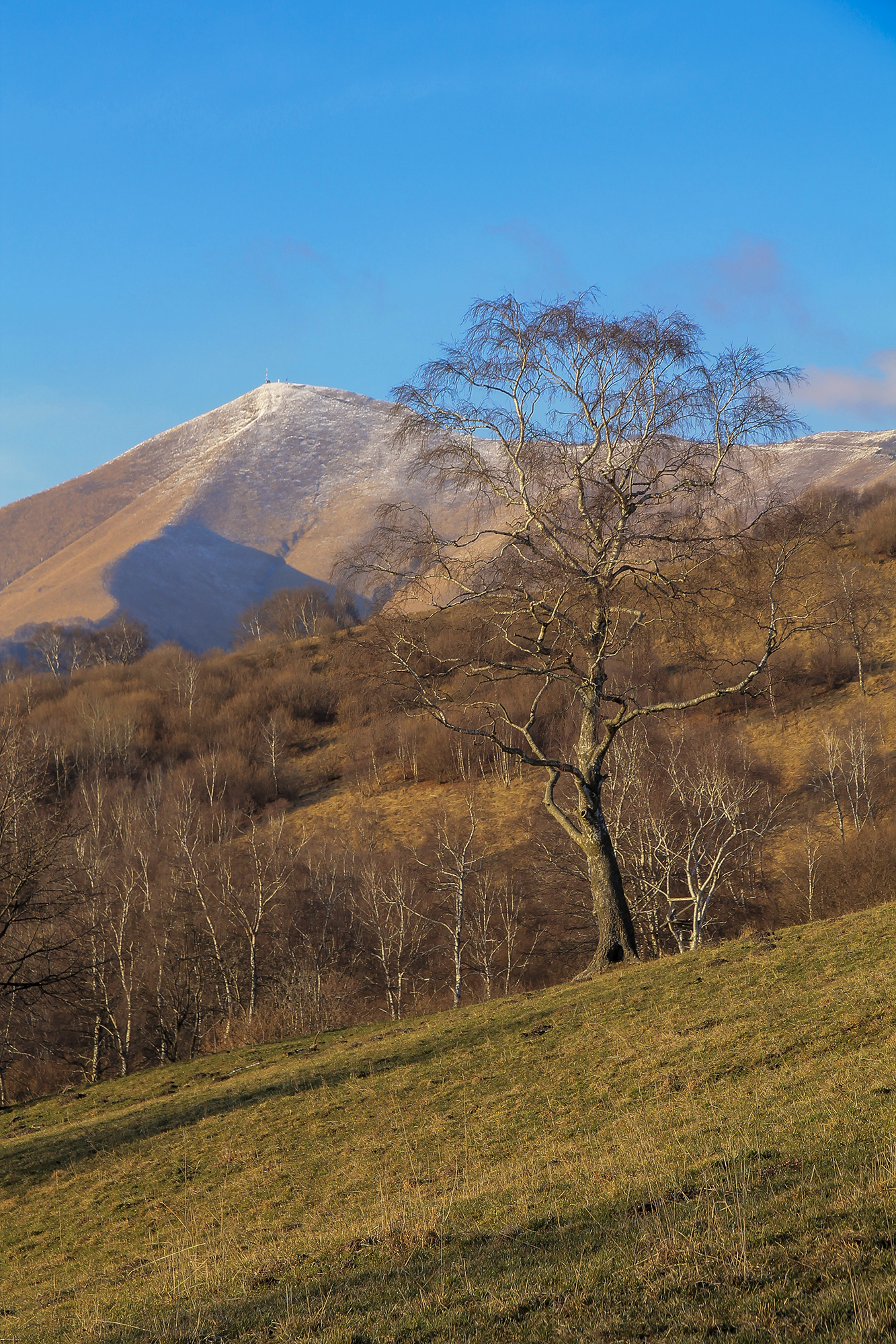 Verso il Monte San Primo