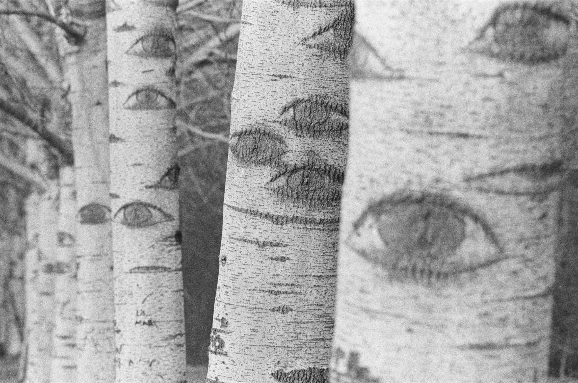 Eyes