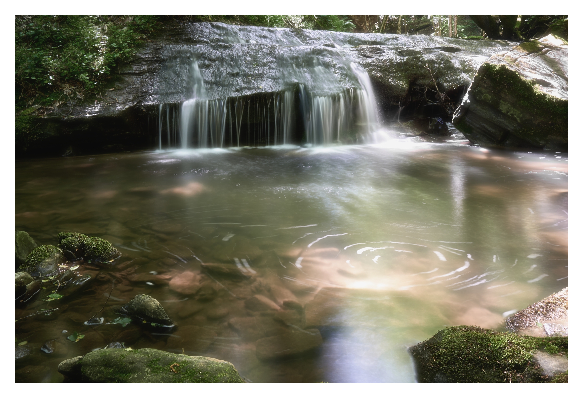 Acqua
