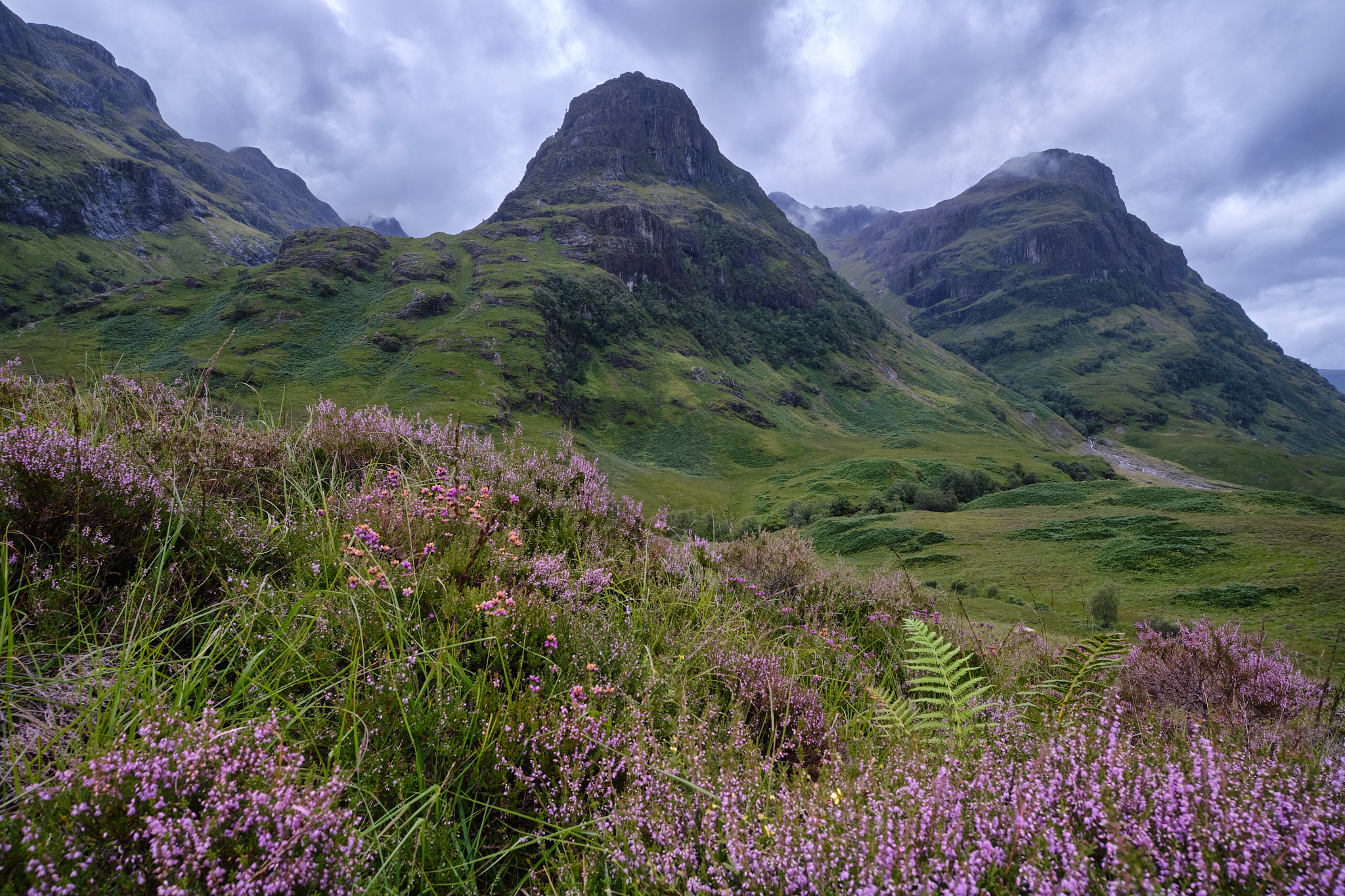 Glencoe's Pink Tears