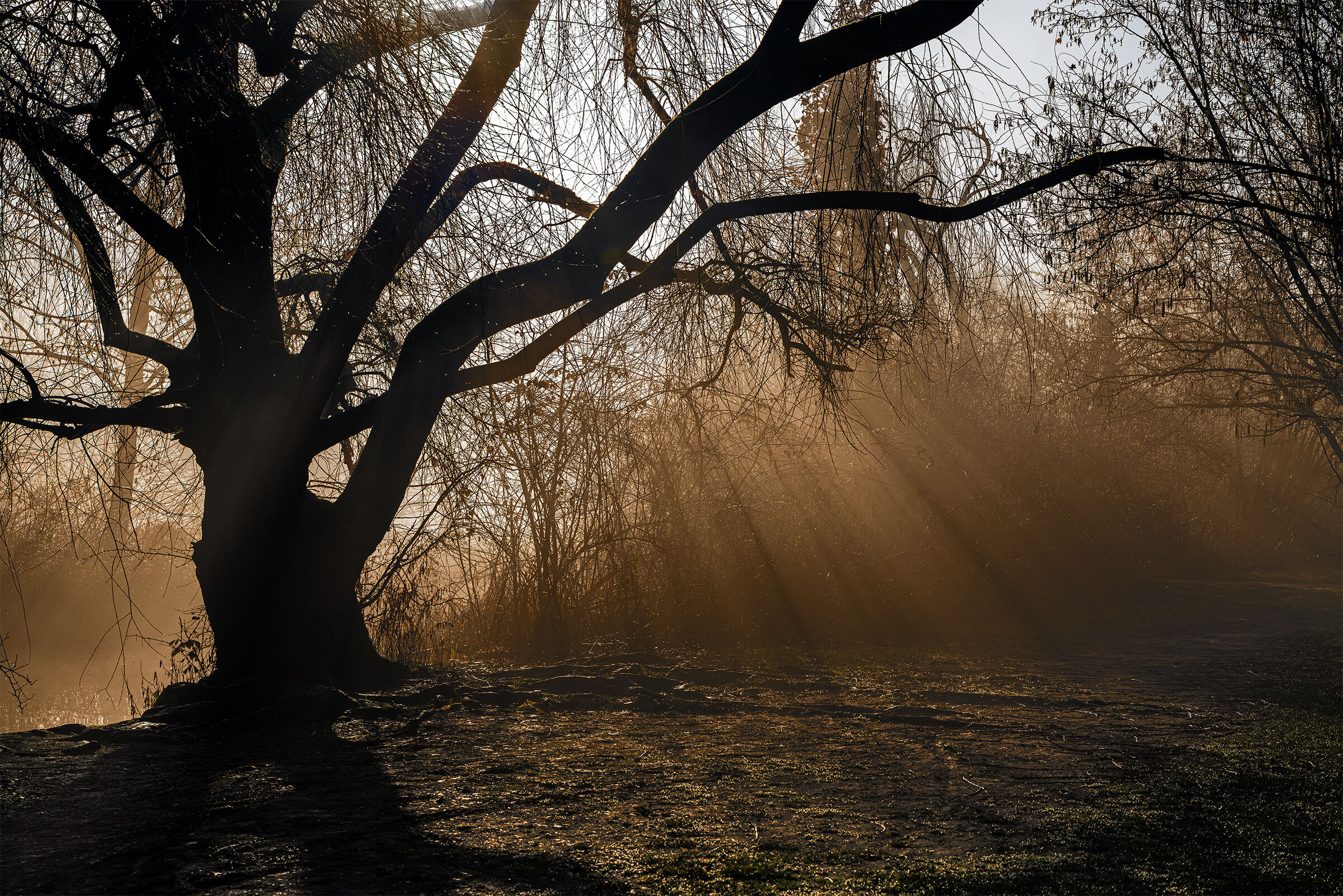 February impressions