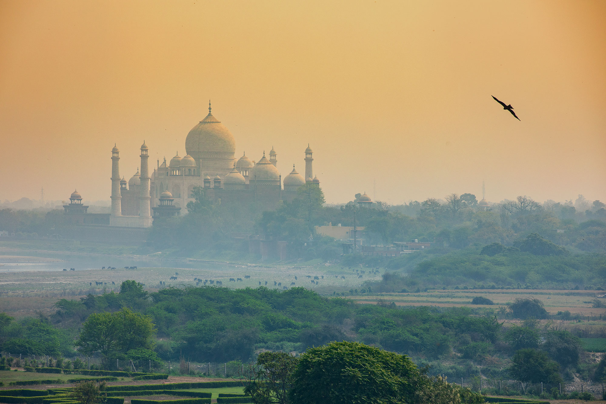 The Taj Mahal seen from the Red fort
