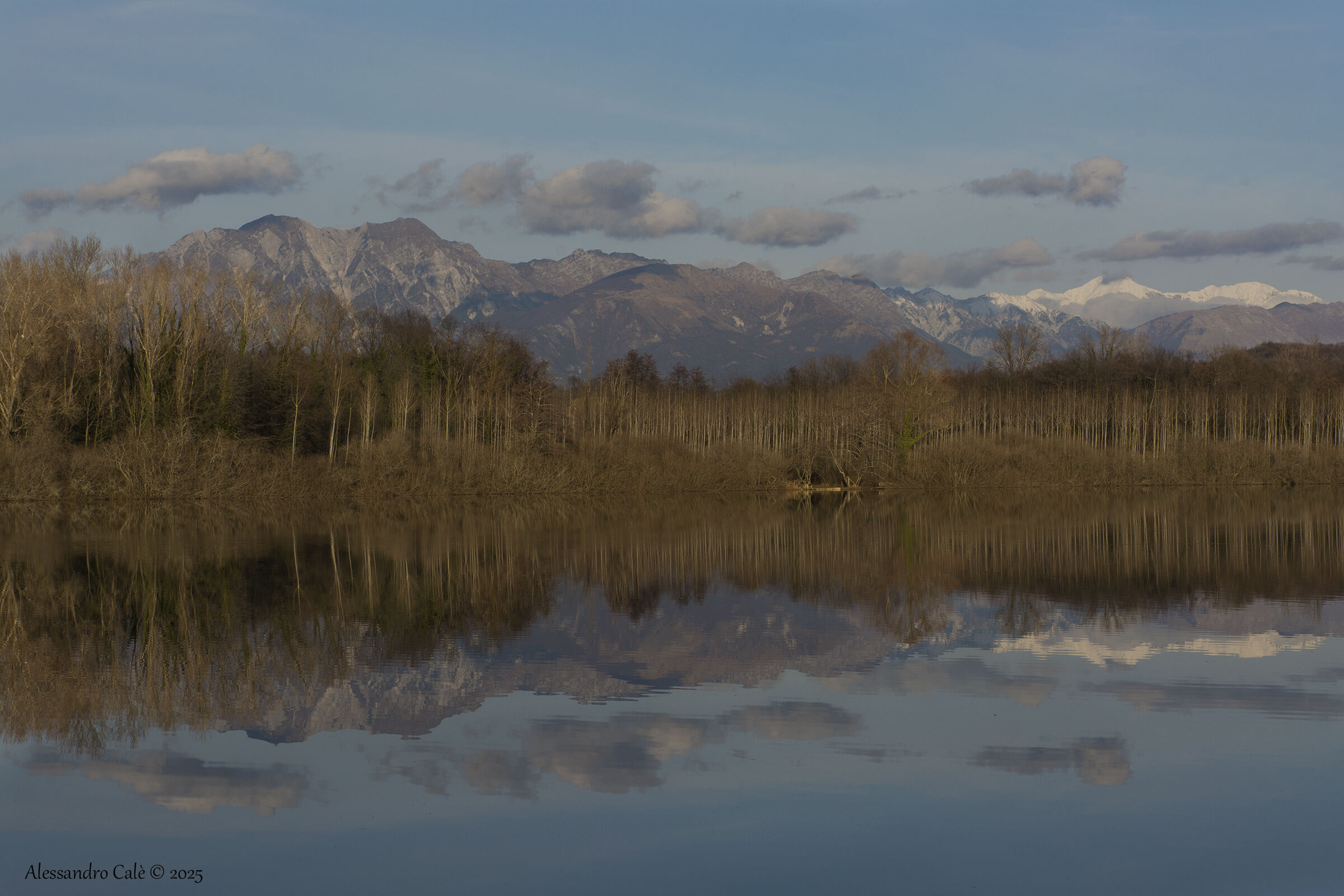 Lake San Daniele del Friuli 2186
