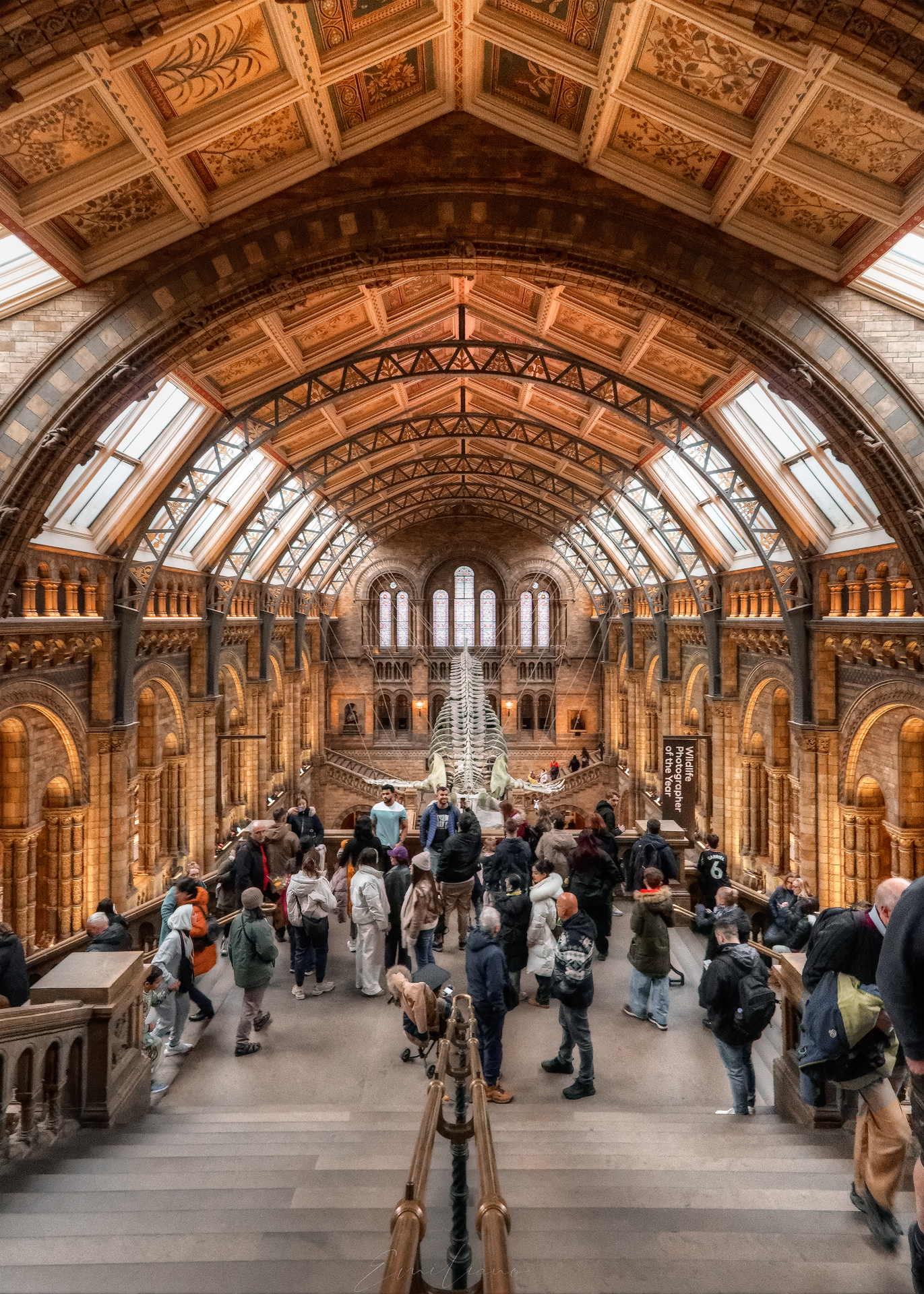 Museo di storia naturale - Londra