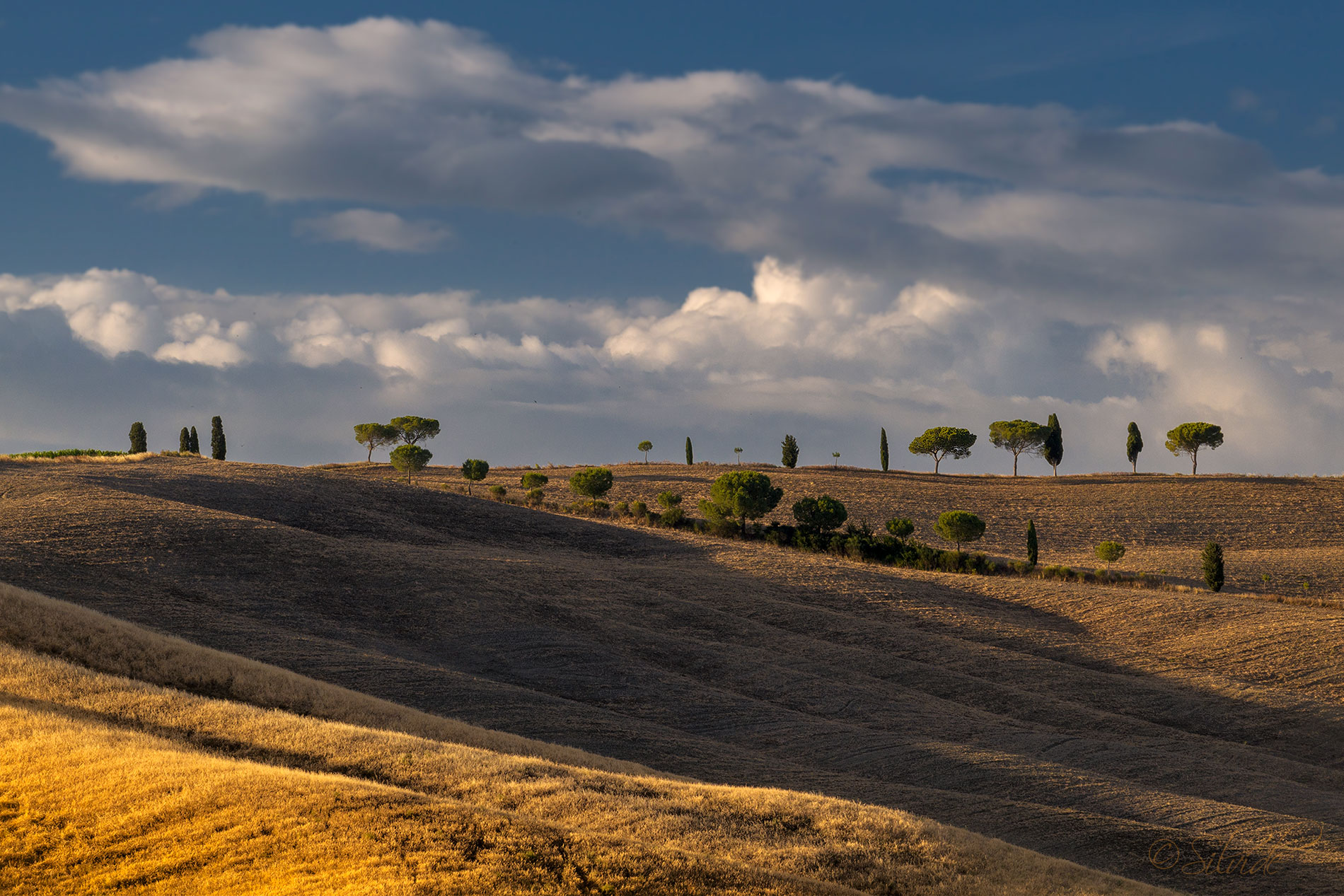 Val d'Orcia