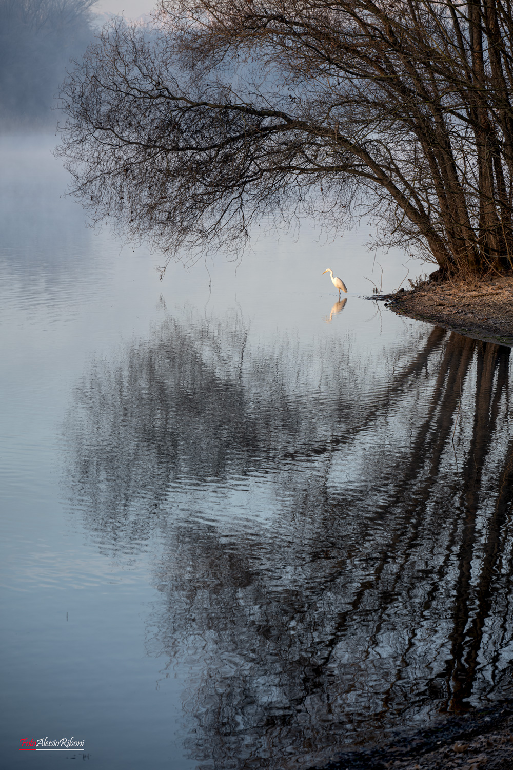 Wonderful Ticino River