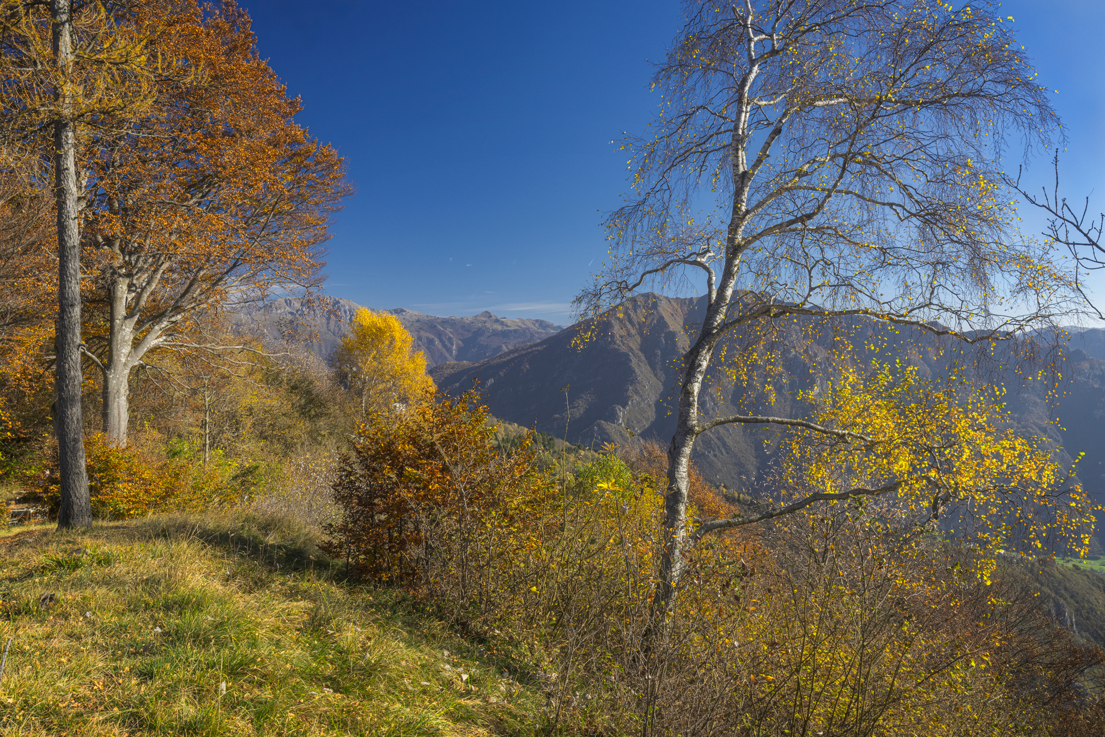 Valentino Park