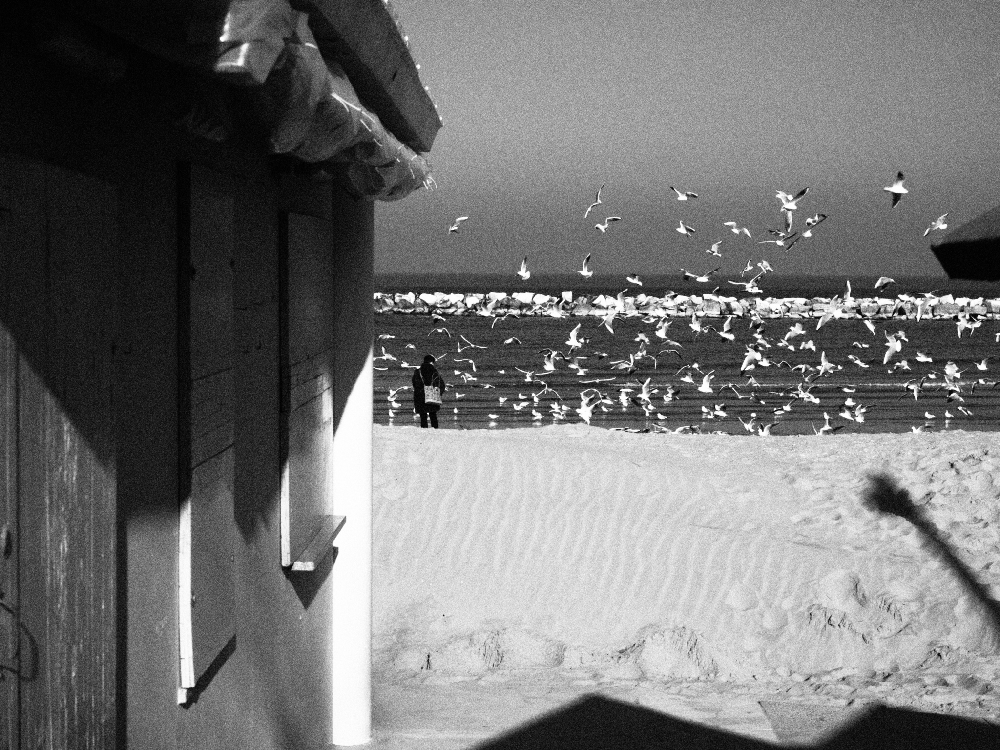 Untitled Photo