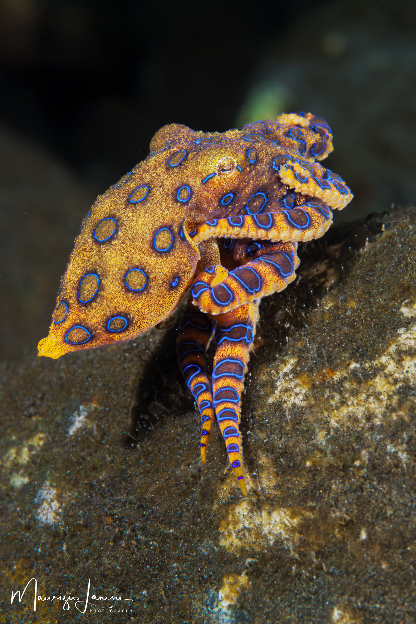 Bellissimo e pericoloso!