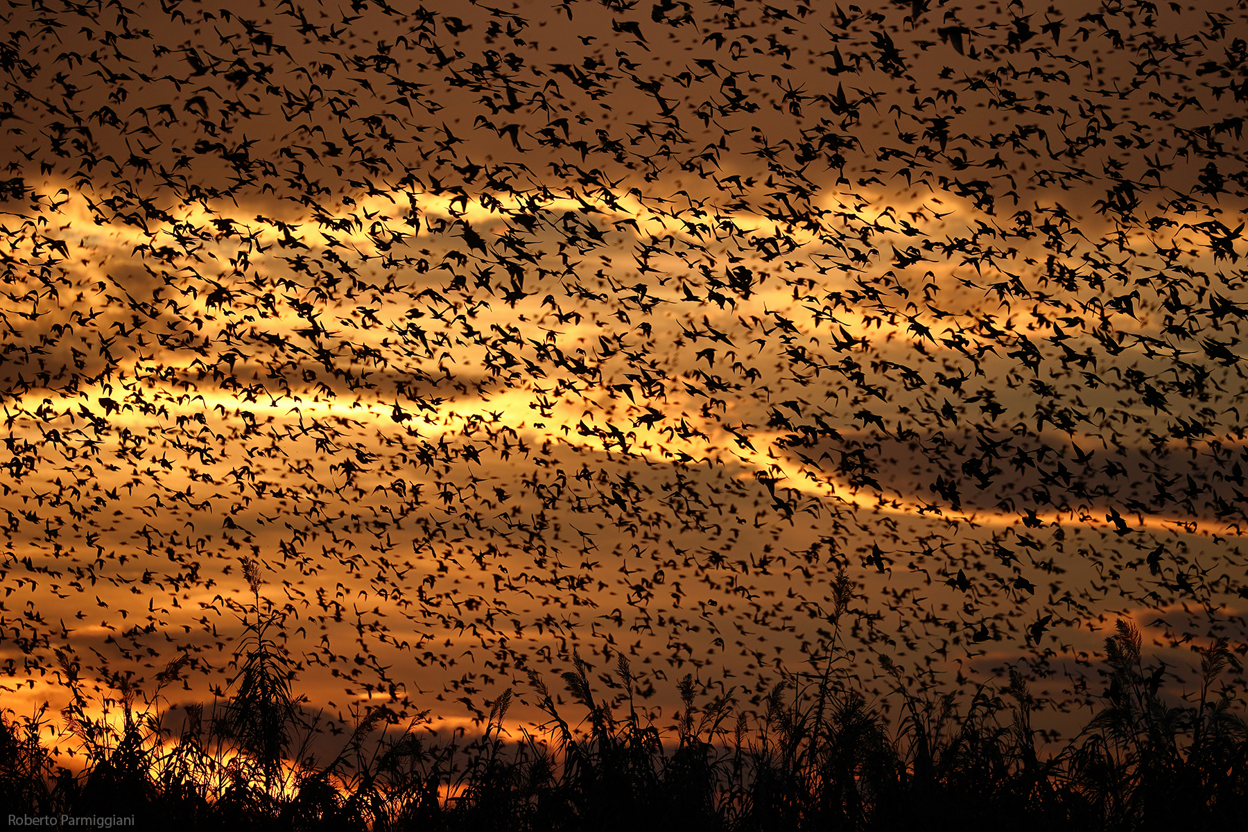 Tramonto apocalittico