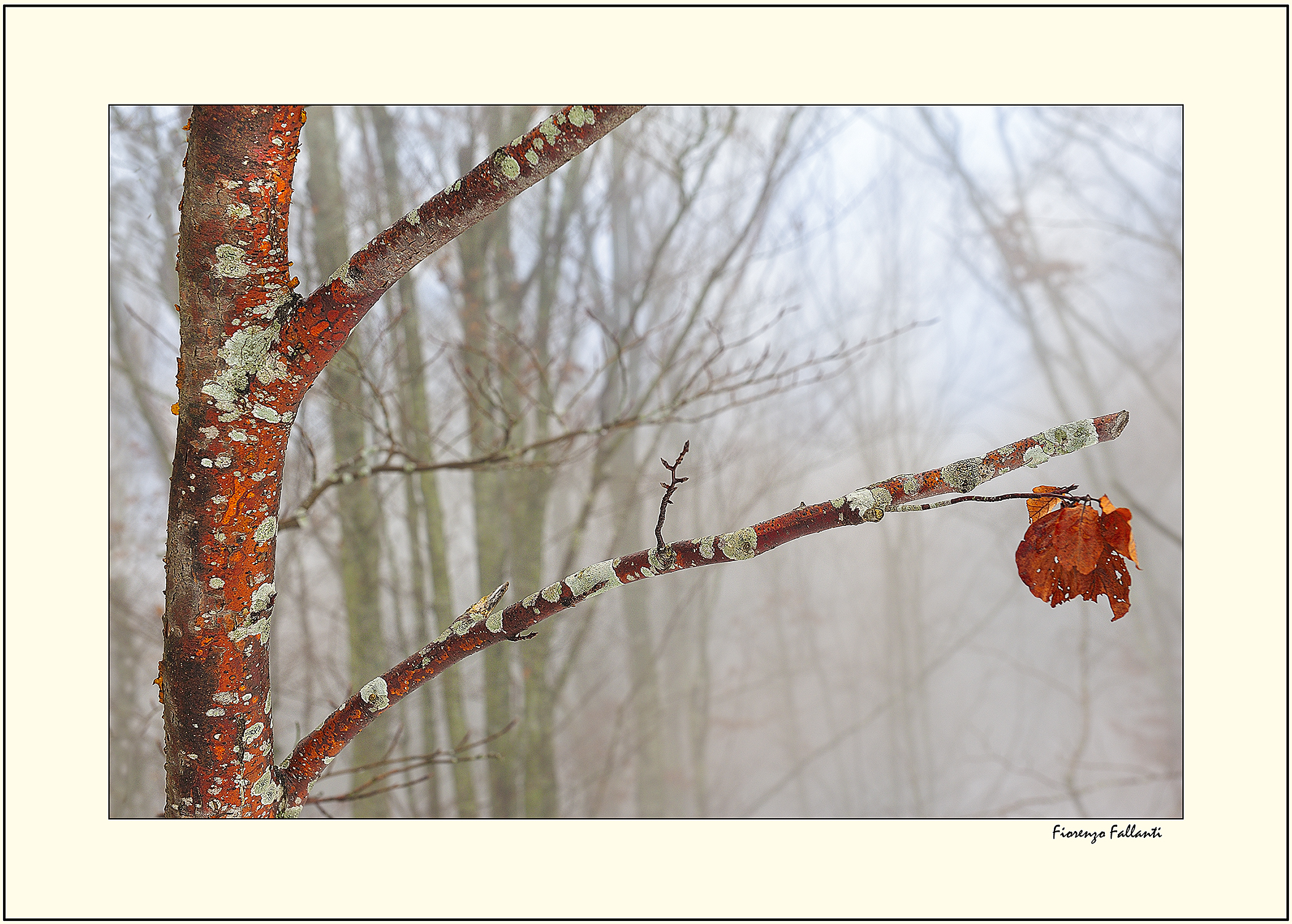 ..Morte stagionale..