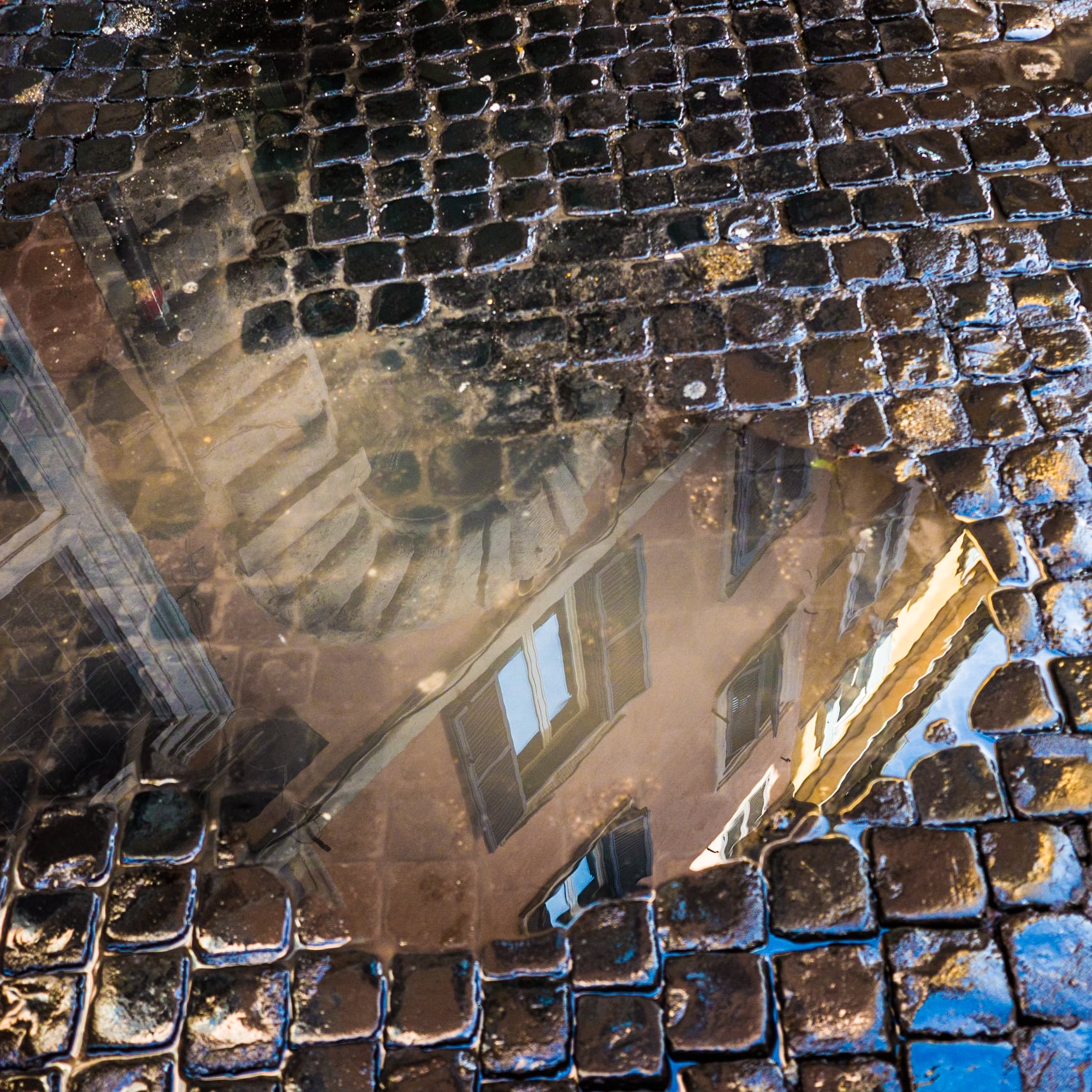Riflessi di Roma