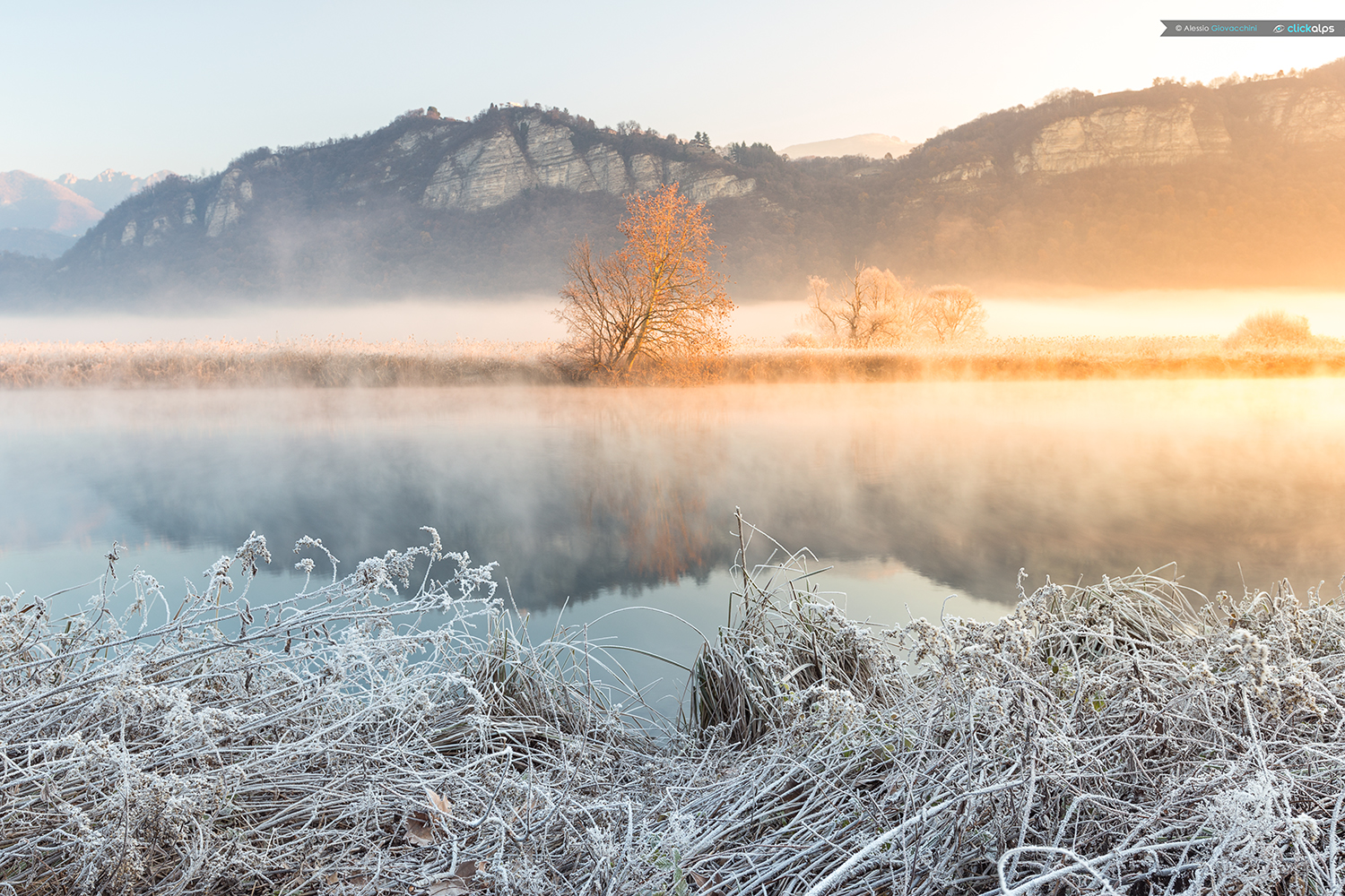 Cold mornings on the Adda