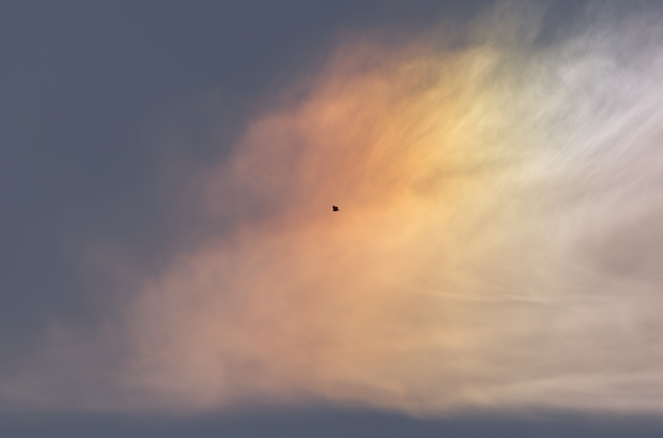 A dot in the colorful sky