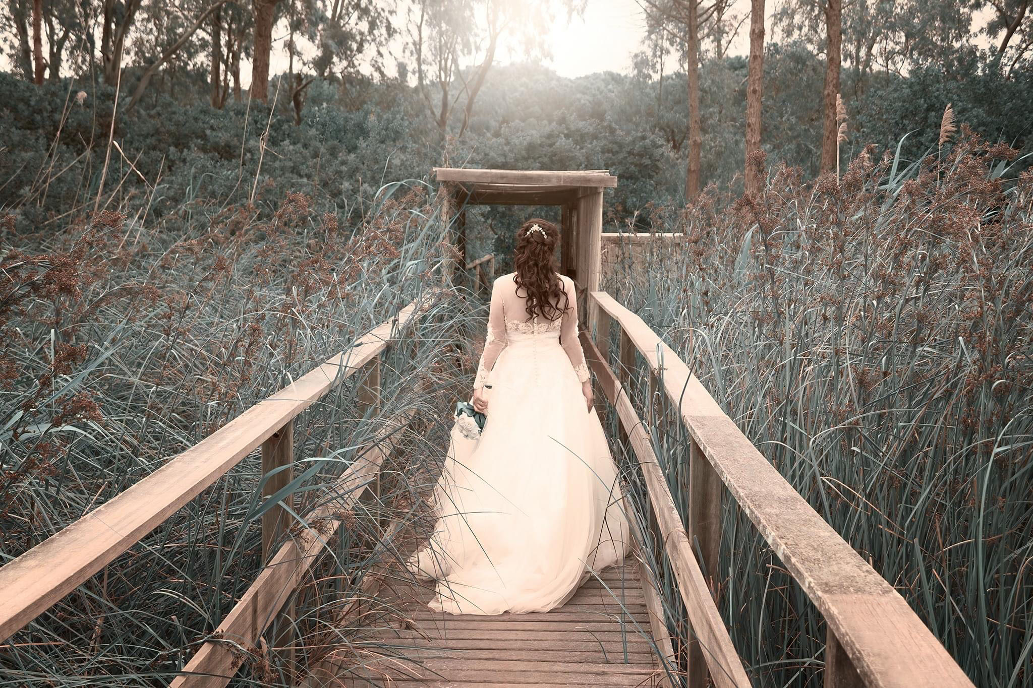 Scene dai Matrimoni