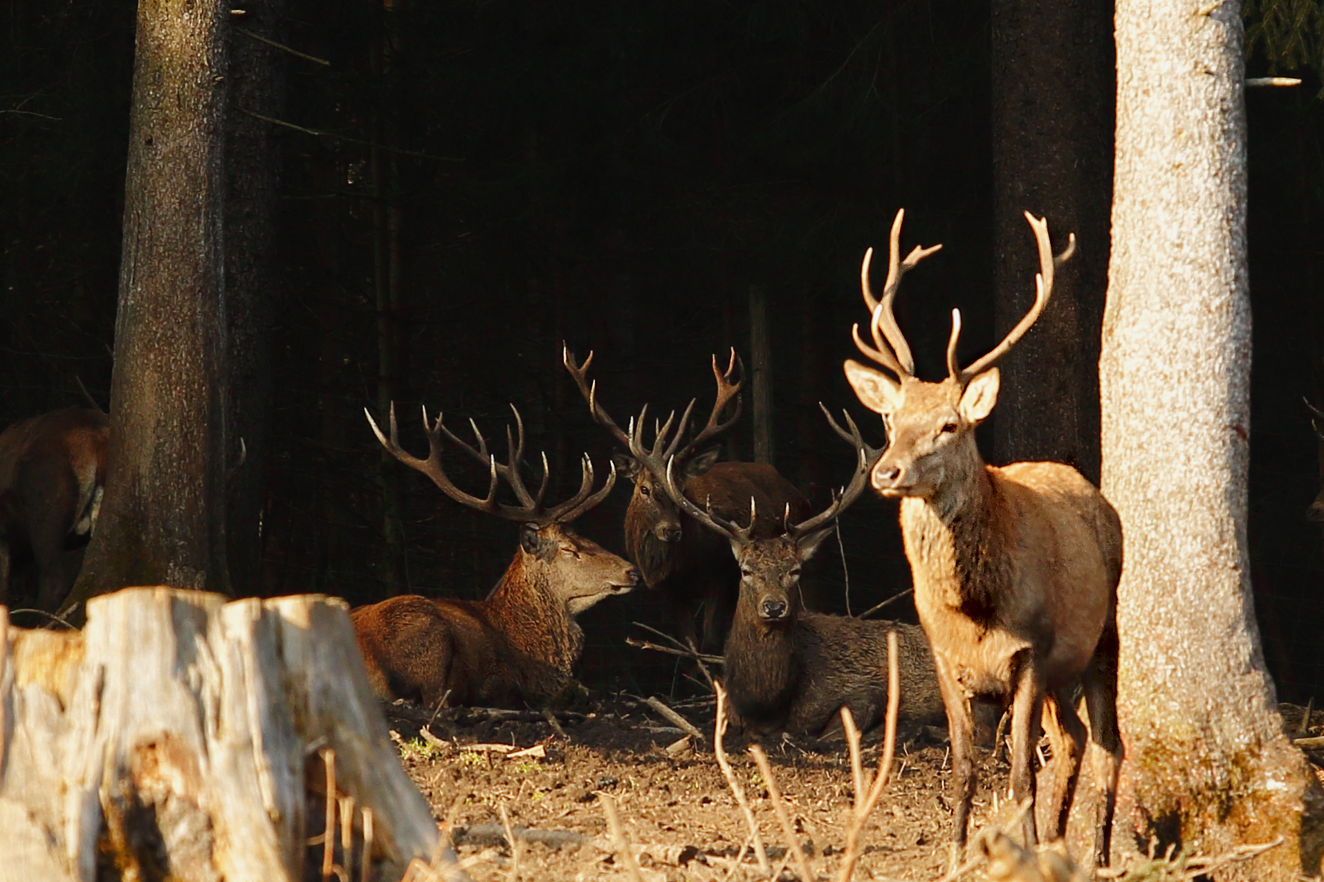 Piano piano fermi fermi senza respirare