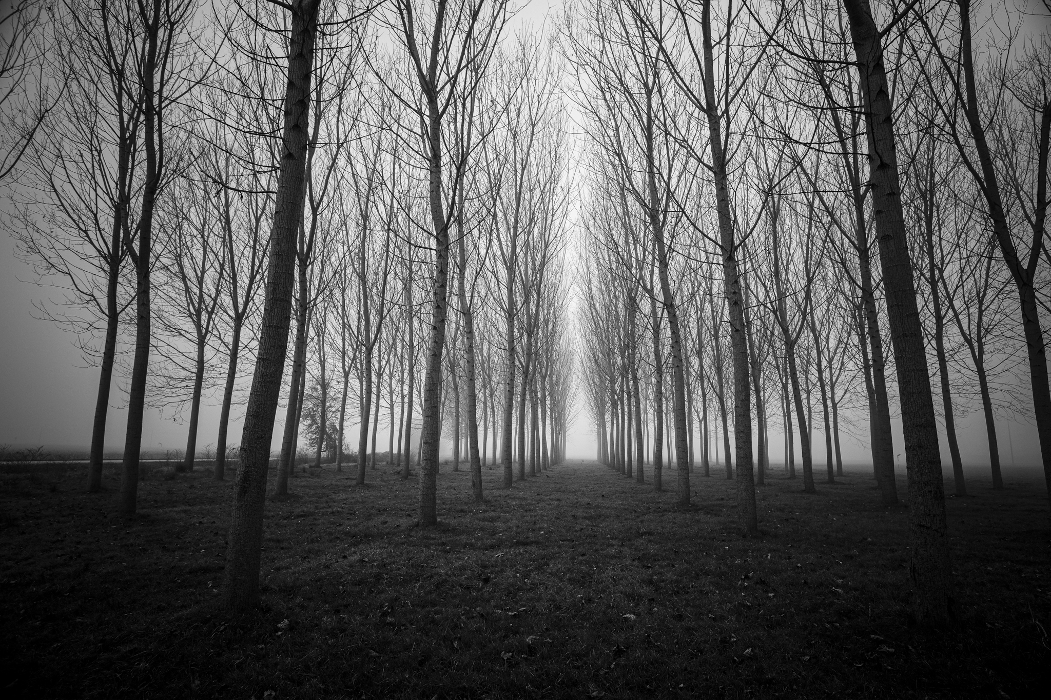 Nel mezzo di un gelido inverno