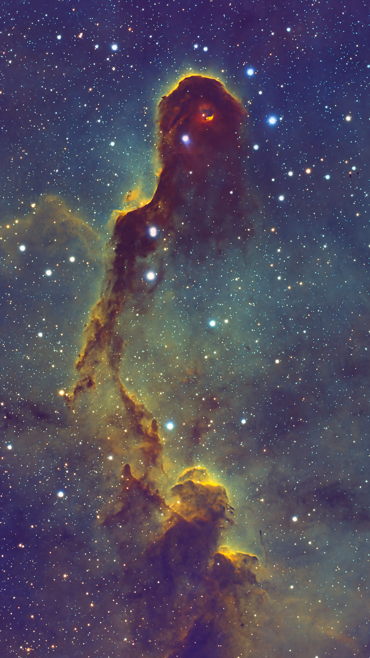 Elephant Trunk in Hubble Palette
