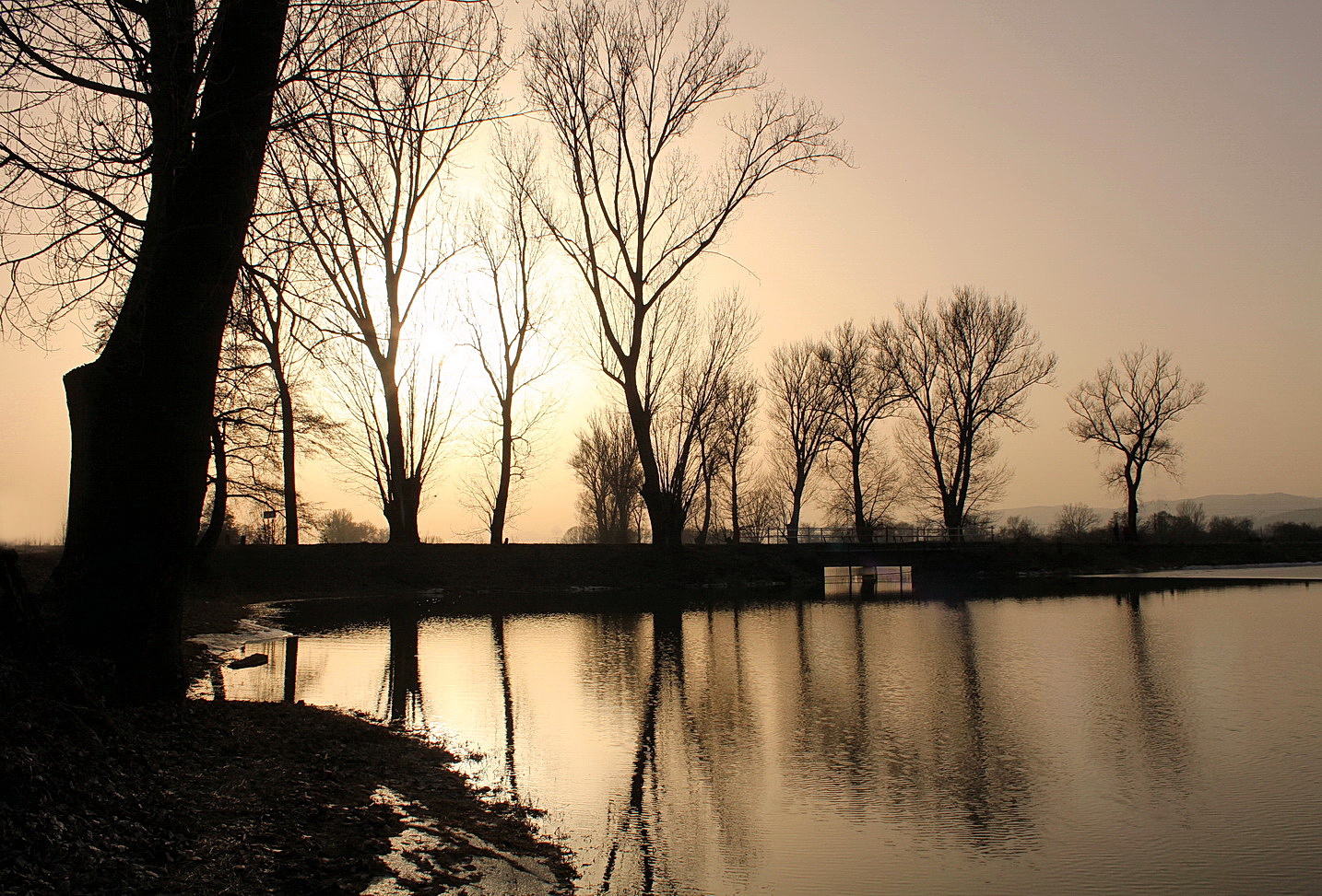 early evening by the lake