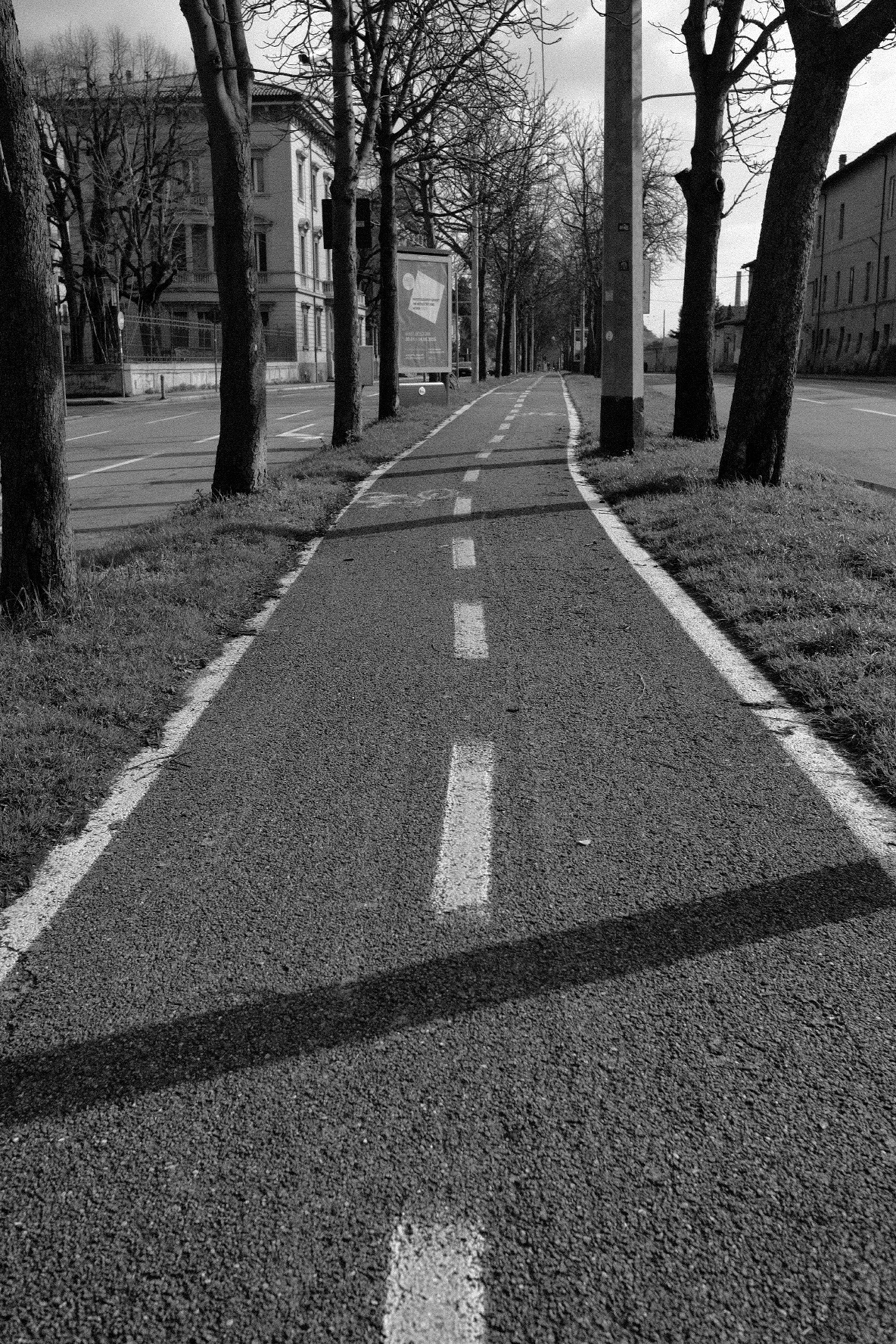 Cycle