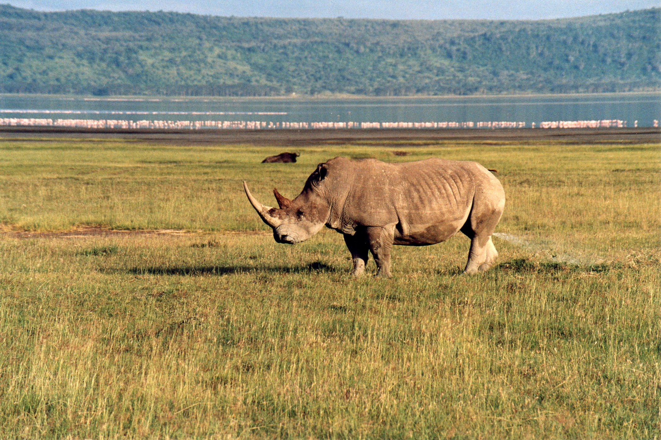 Mi scappa la pipì...