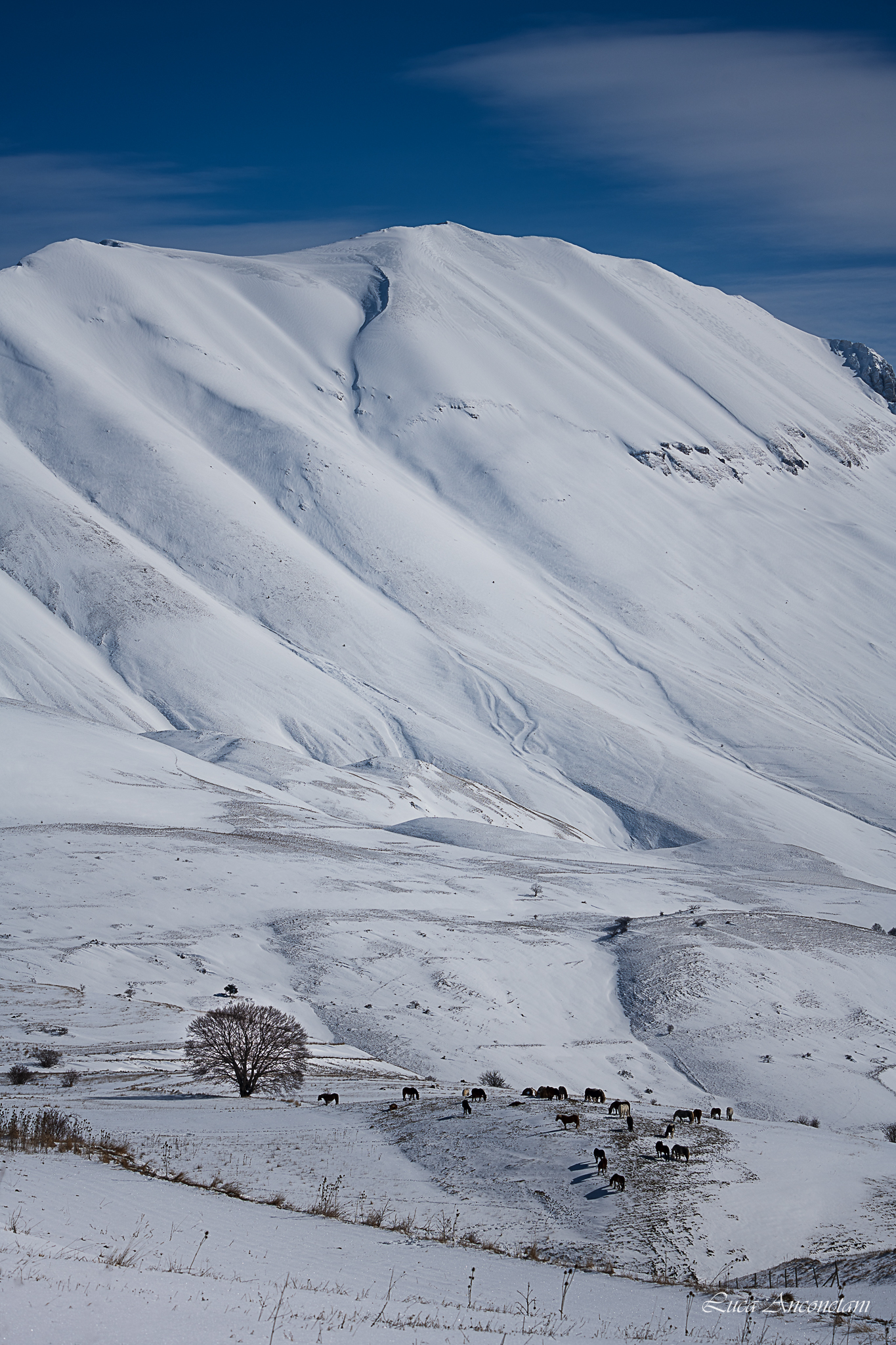 Mattinata a Castelluccio