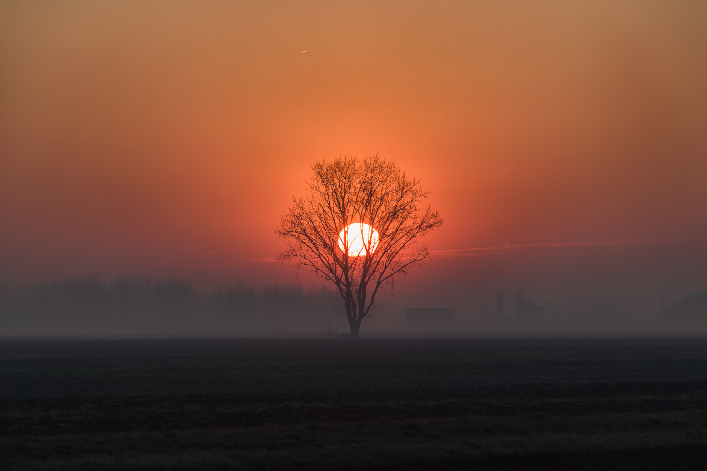 Alba invernale in pianura