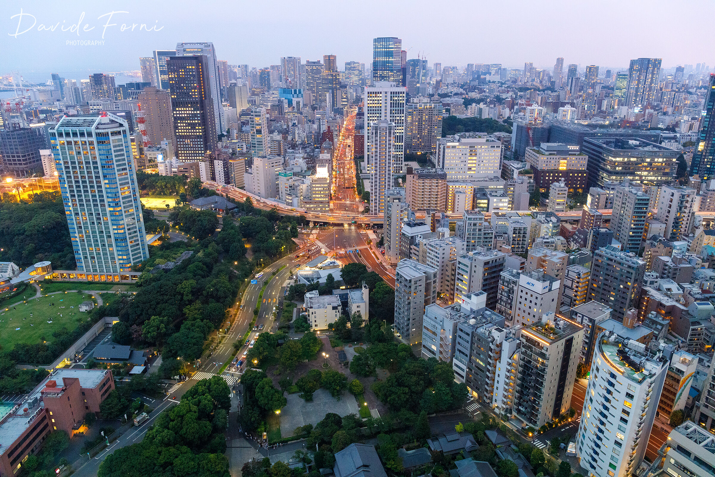 Twilight light over Tokyo
