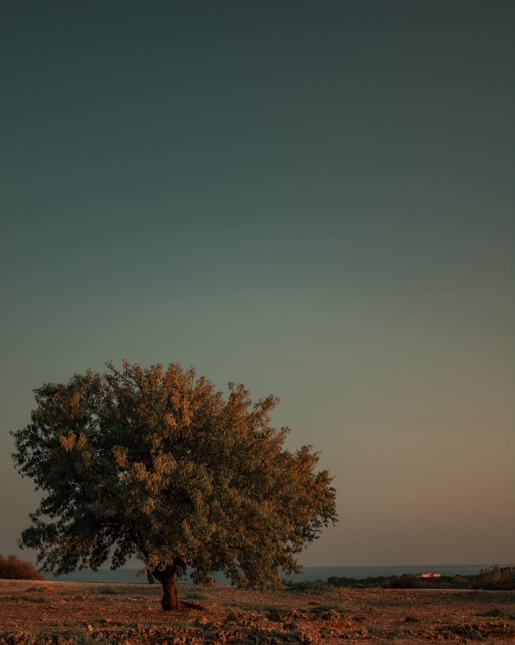 zeus golden hour