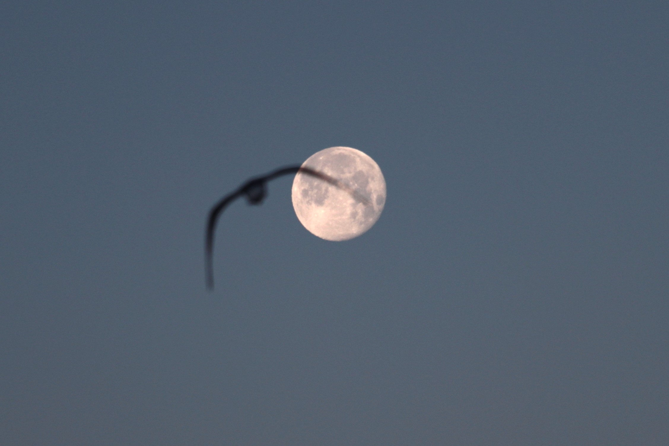 MOON morning2