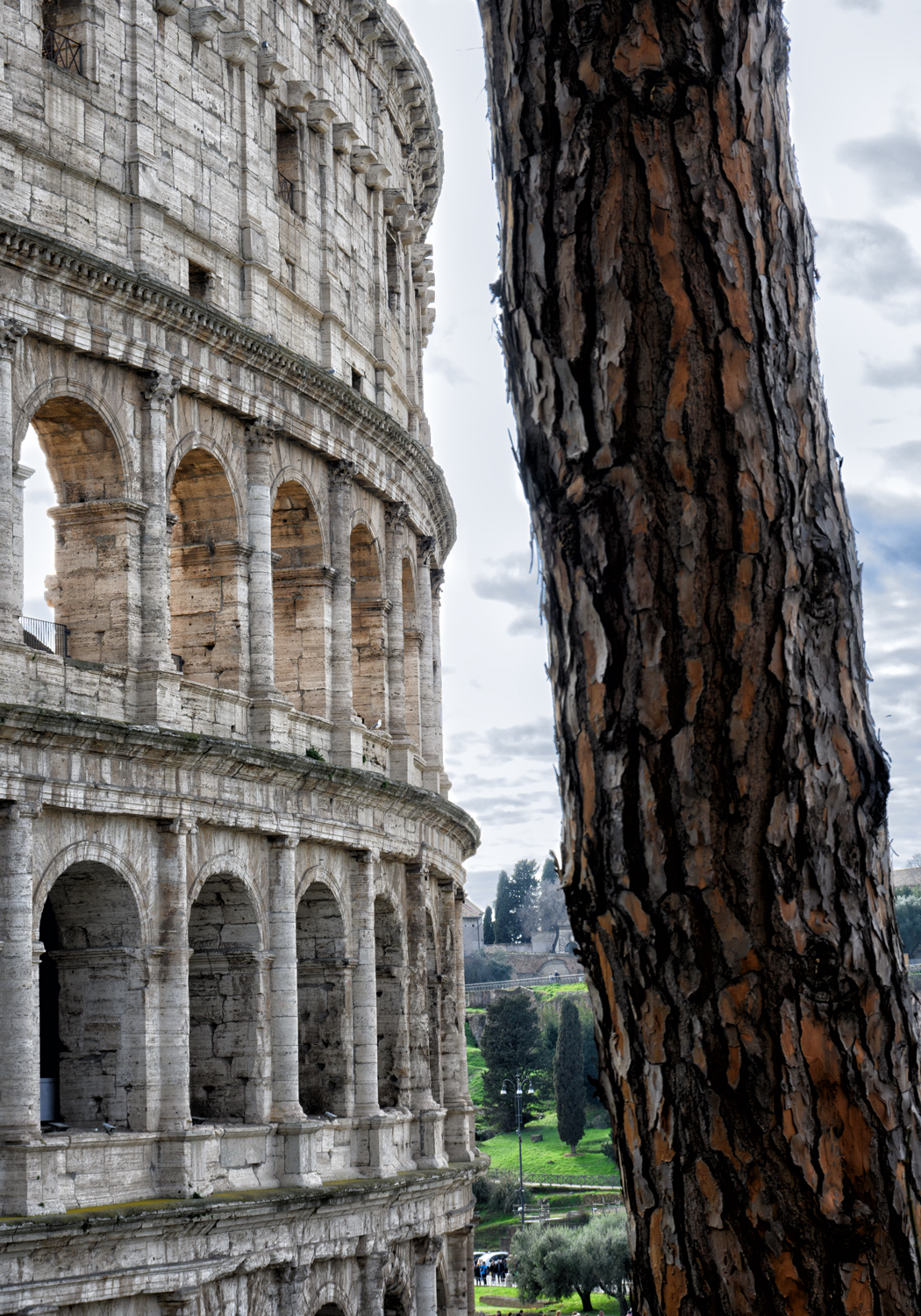 Detail of the Colosseum