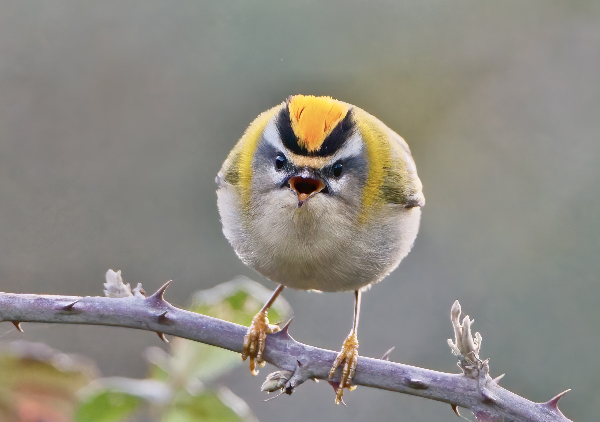 Face to face with the fjord