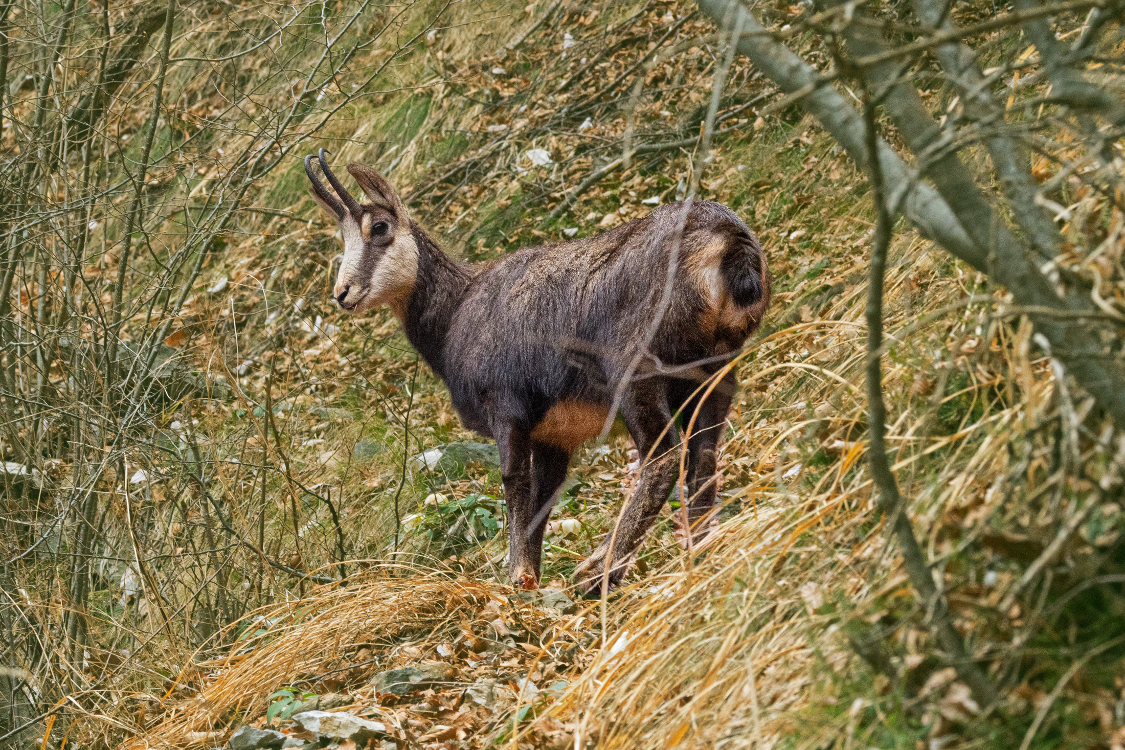 On the path