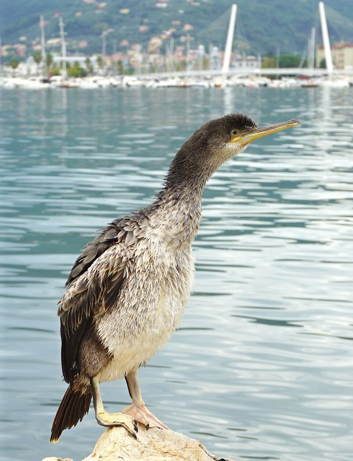 Niente interviste oggi!!!