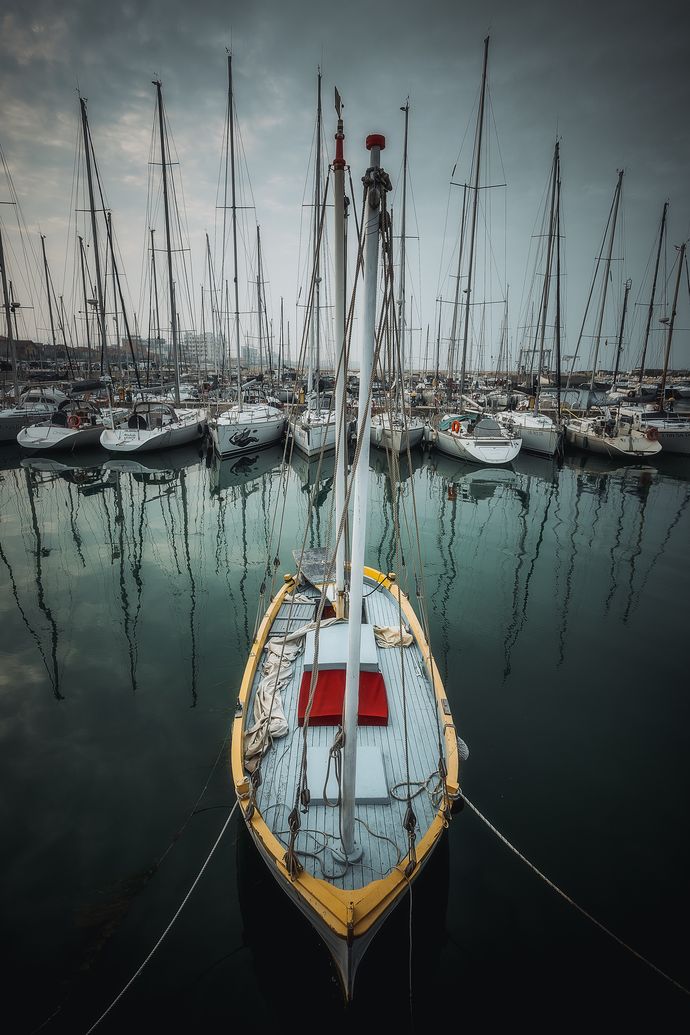 Il brutto anatroccolo