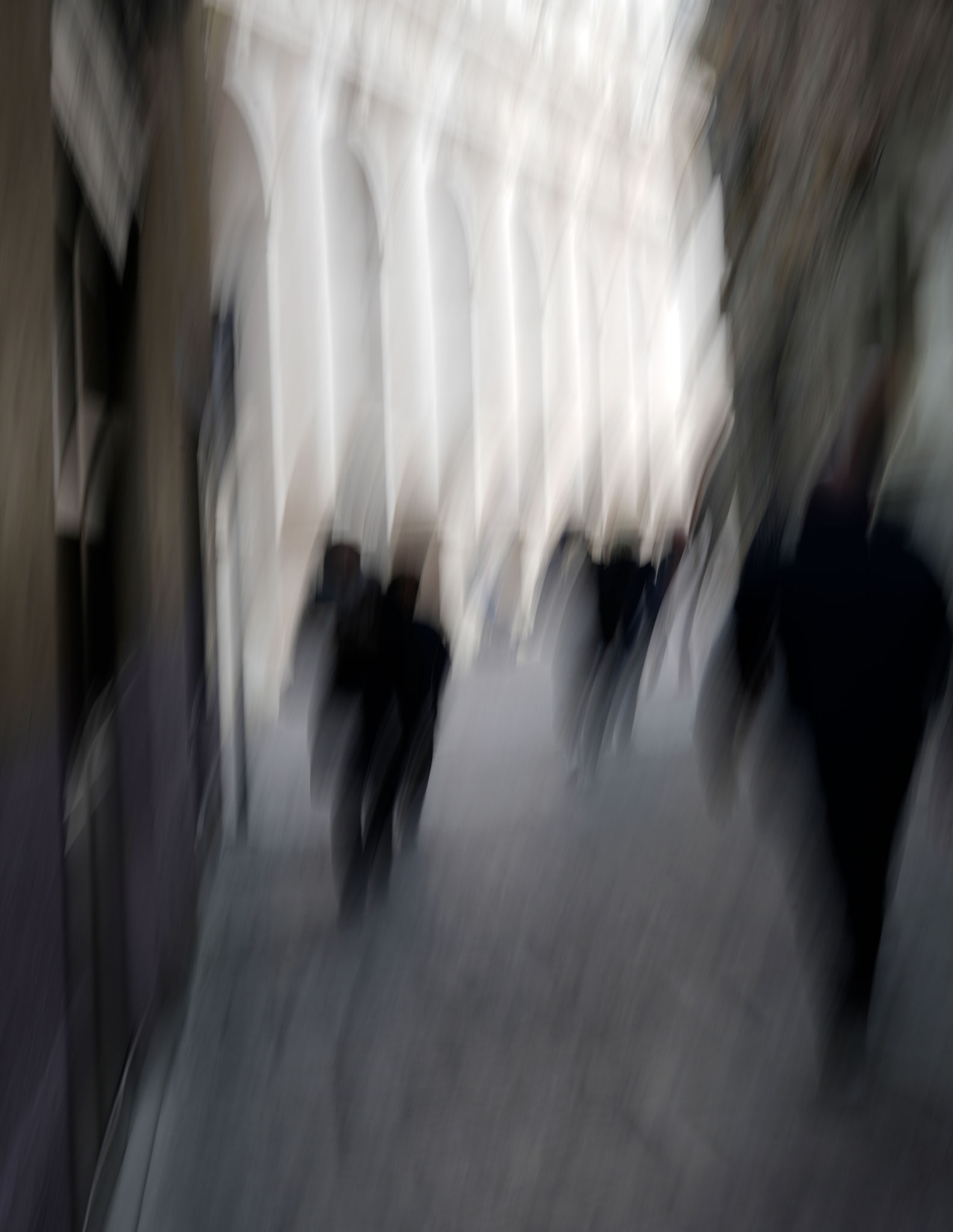 Who they are, where they are going