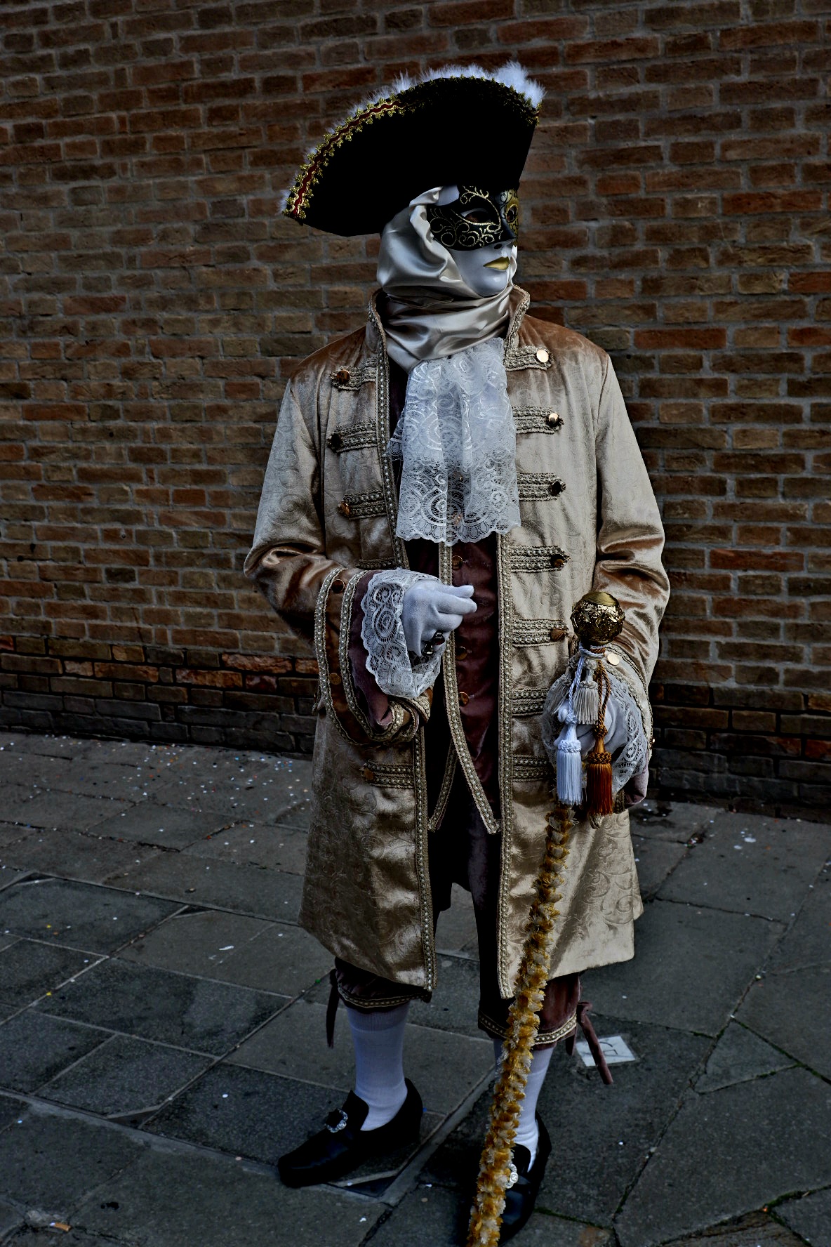 Venice Carnival 2025