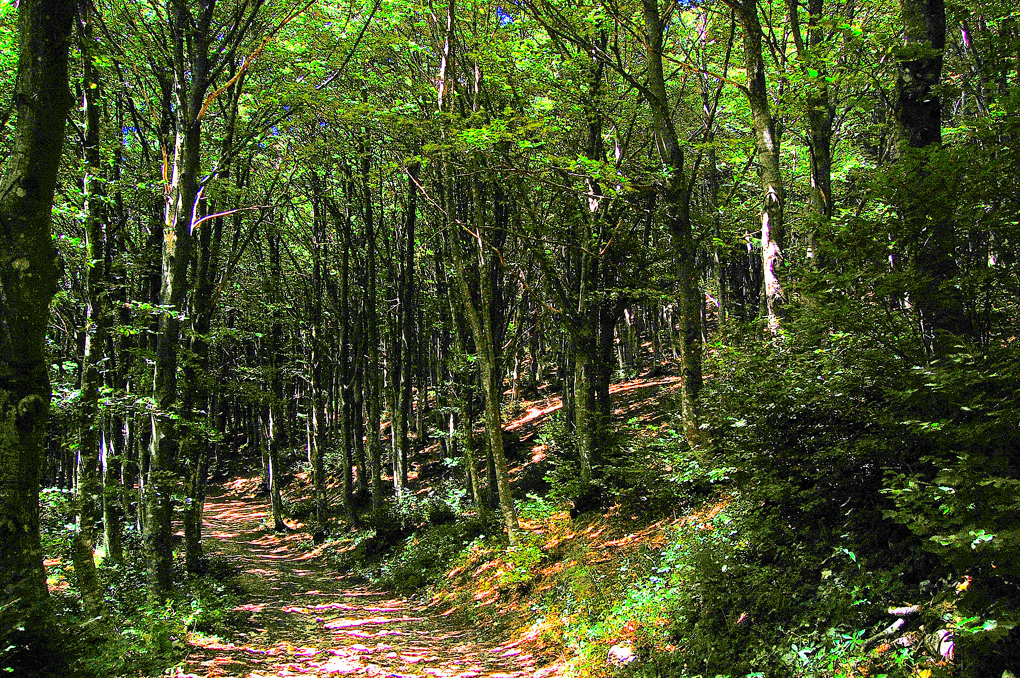 In the middle of the journey...