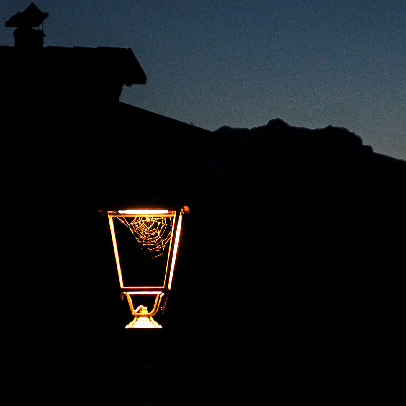 Lampione con ragnetela