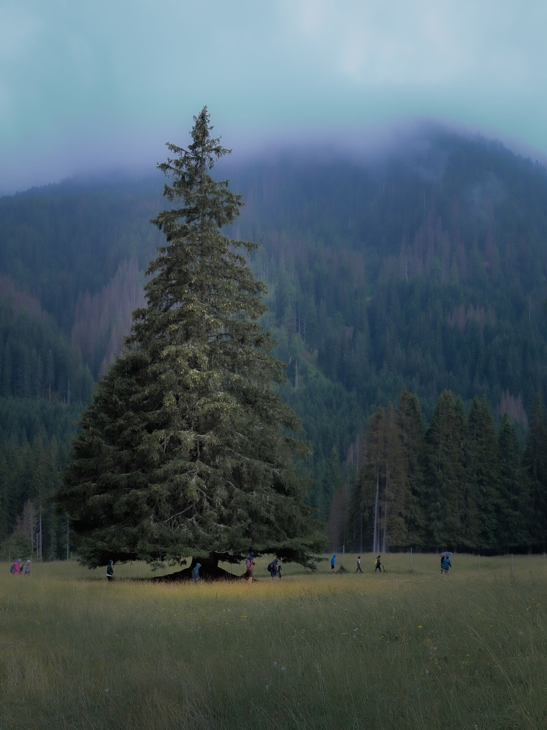 Ubi maior minor cessat