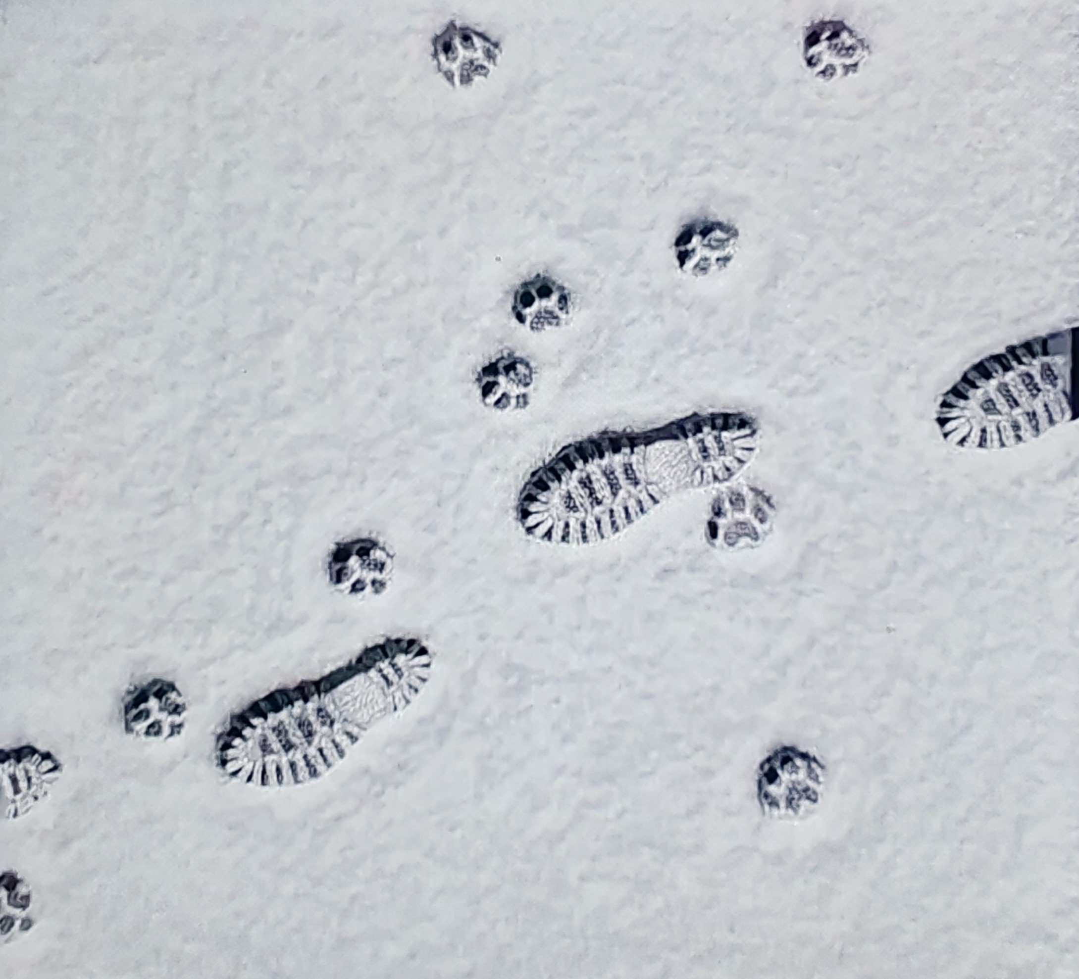 Where He is, there is also Her.