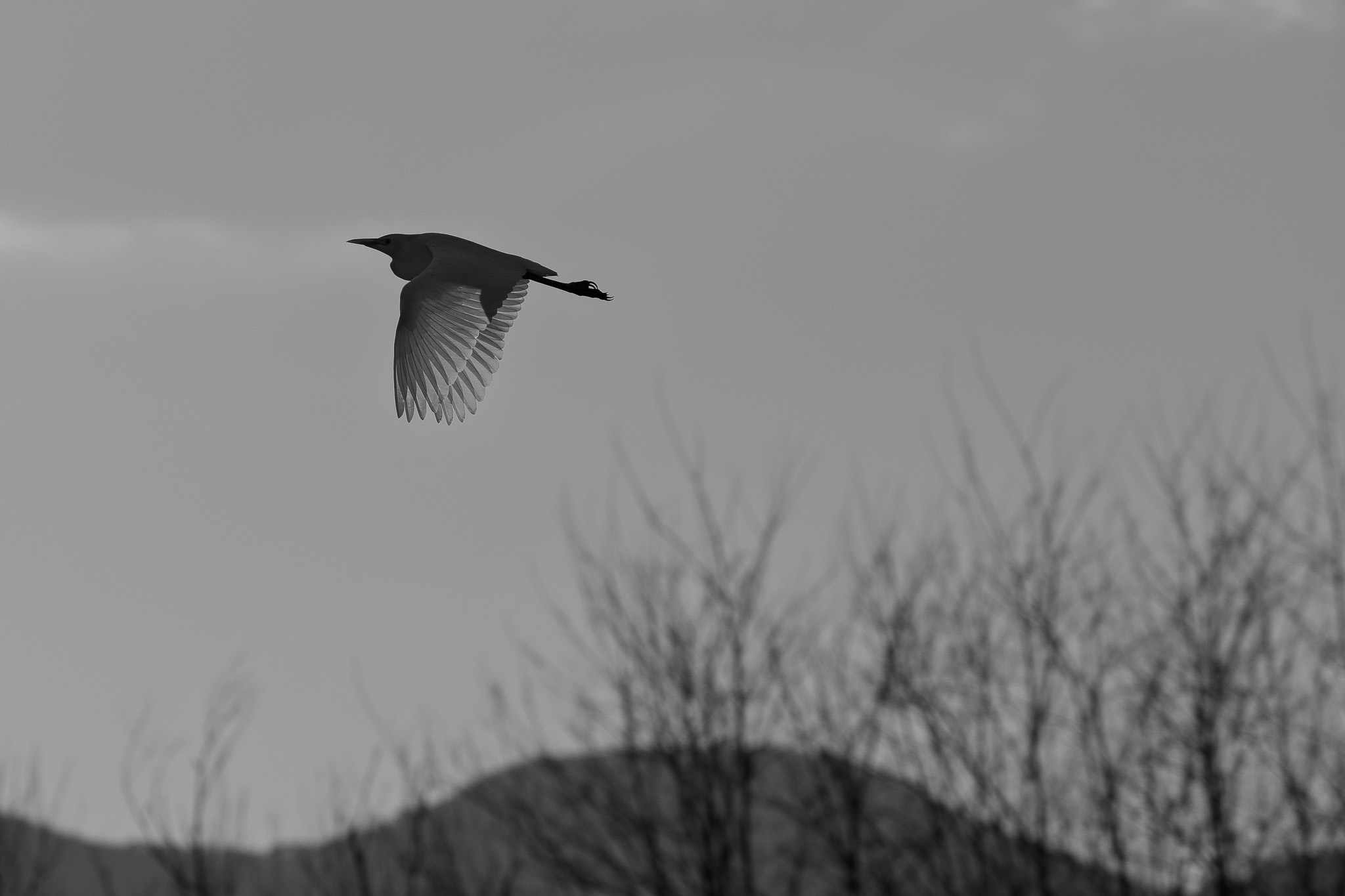 200mm, praticamente un grandangolo...