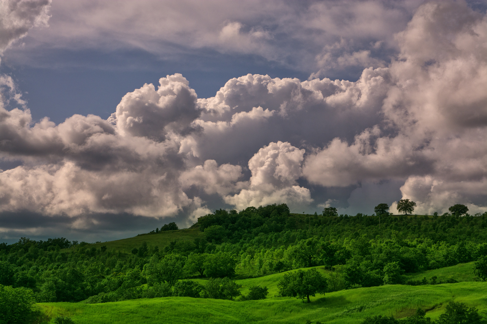 After the storm