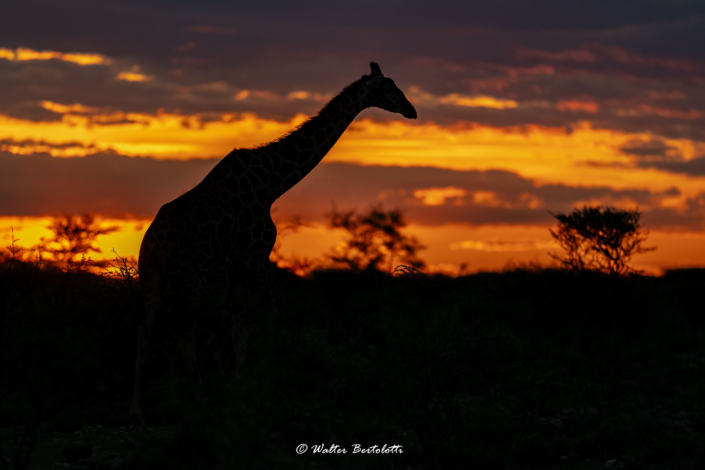 tramonto africano