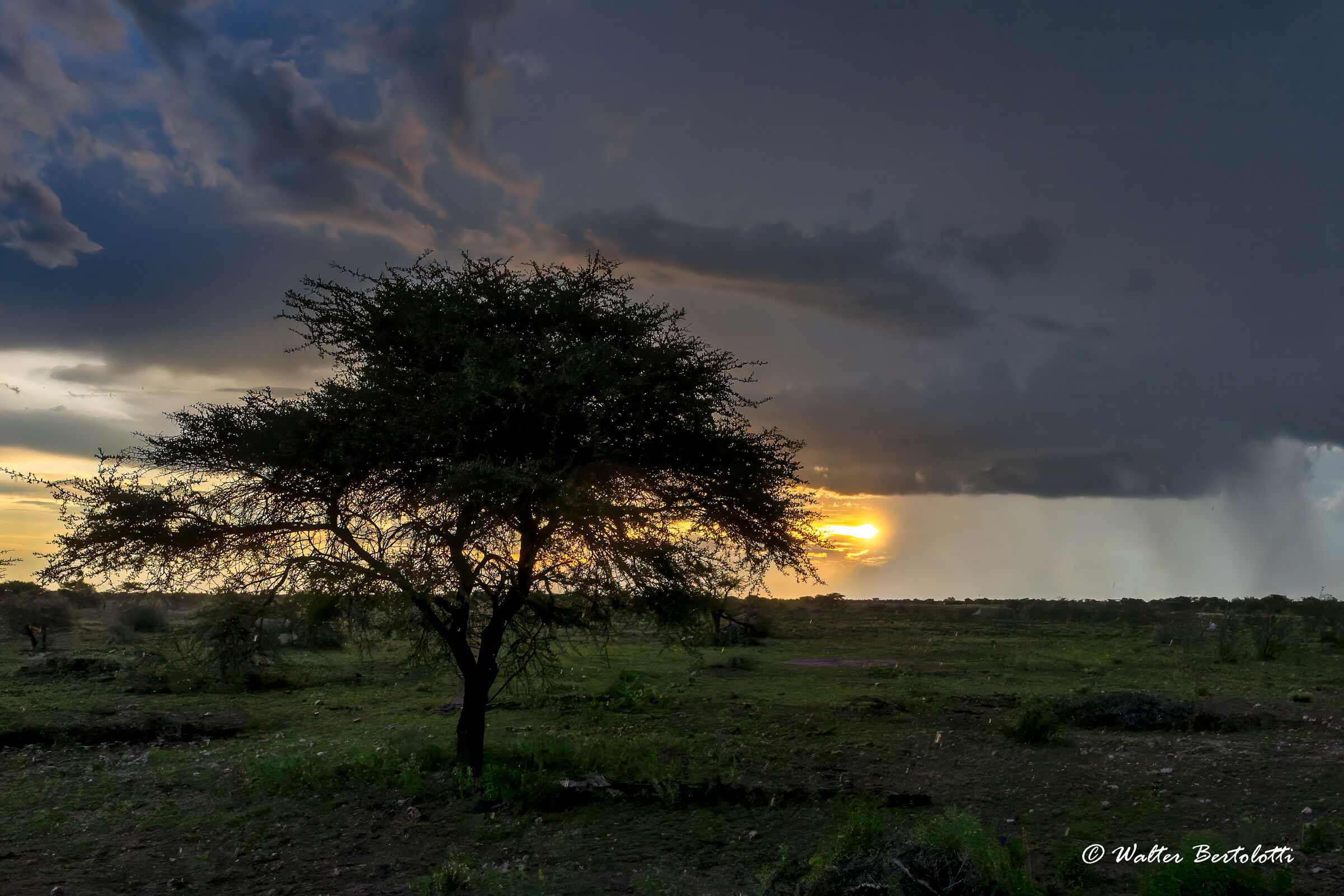 Tramonto in Etosha