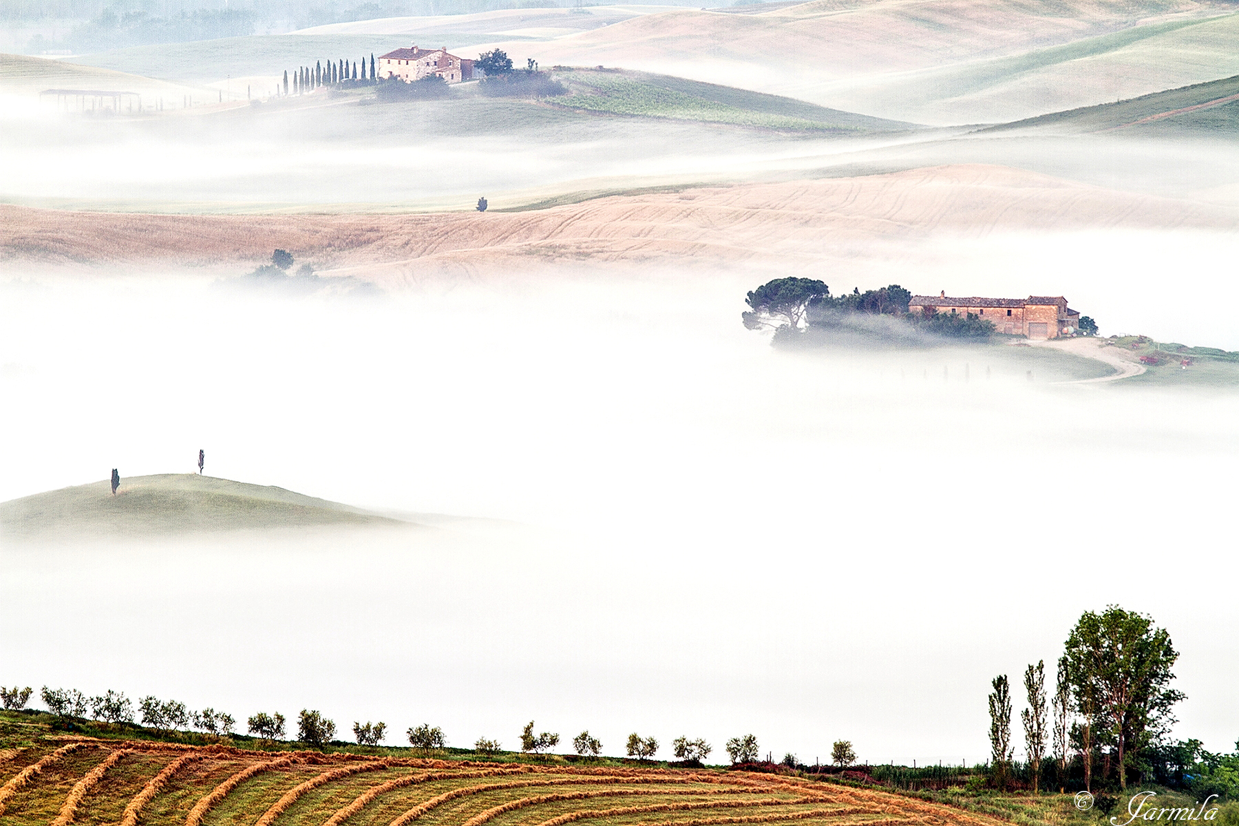 The Crete Senesi shrouded in mist