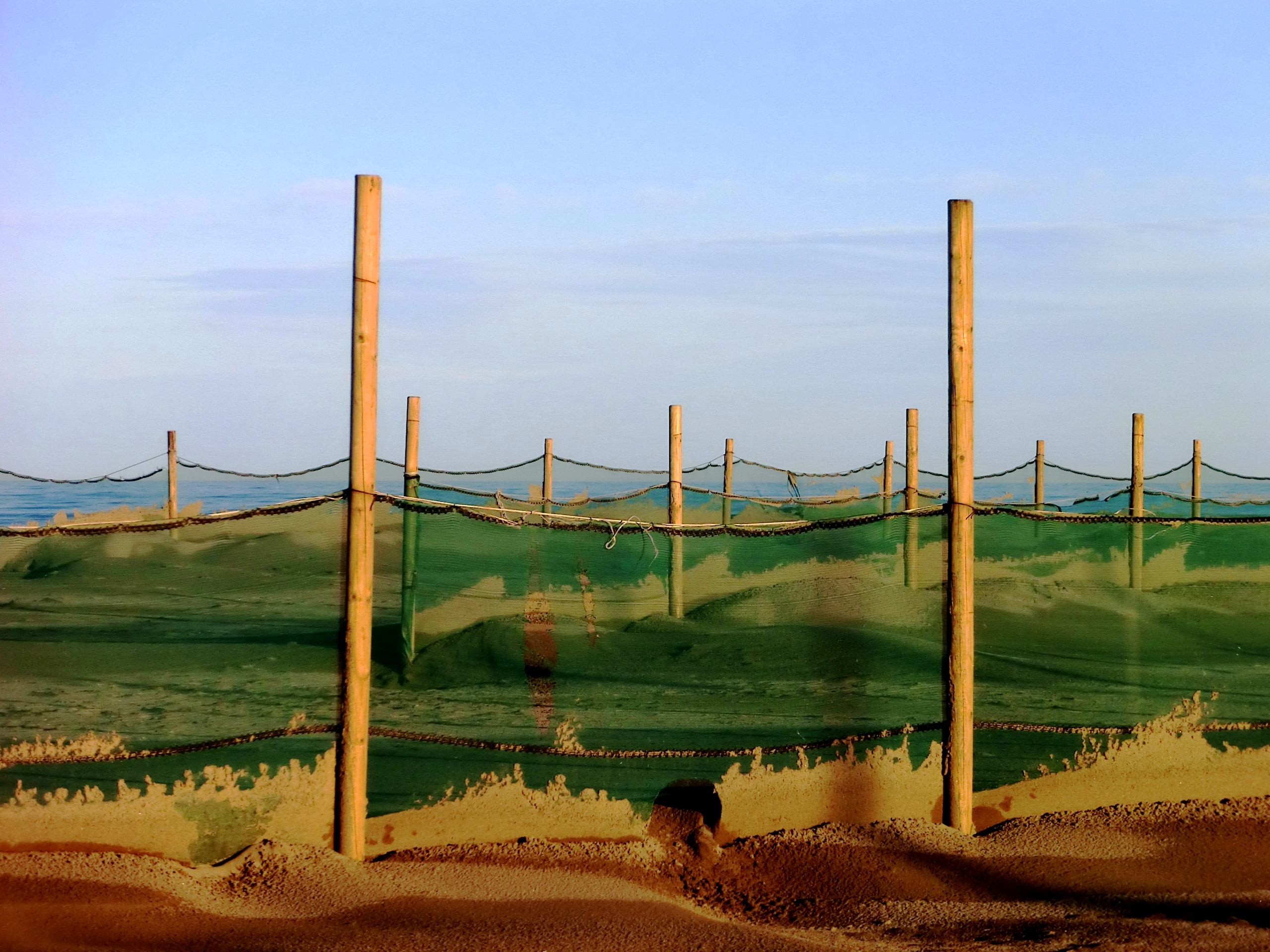 Miraculous Draught of Fishes